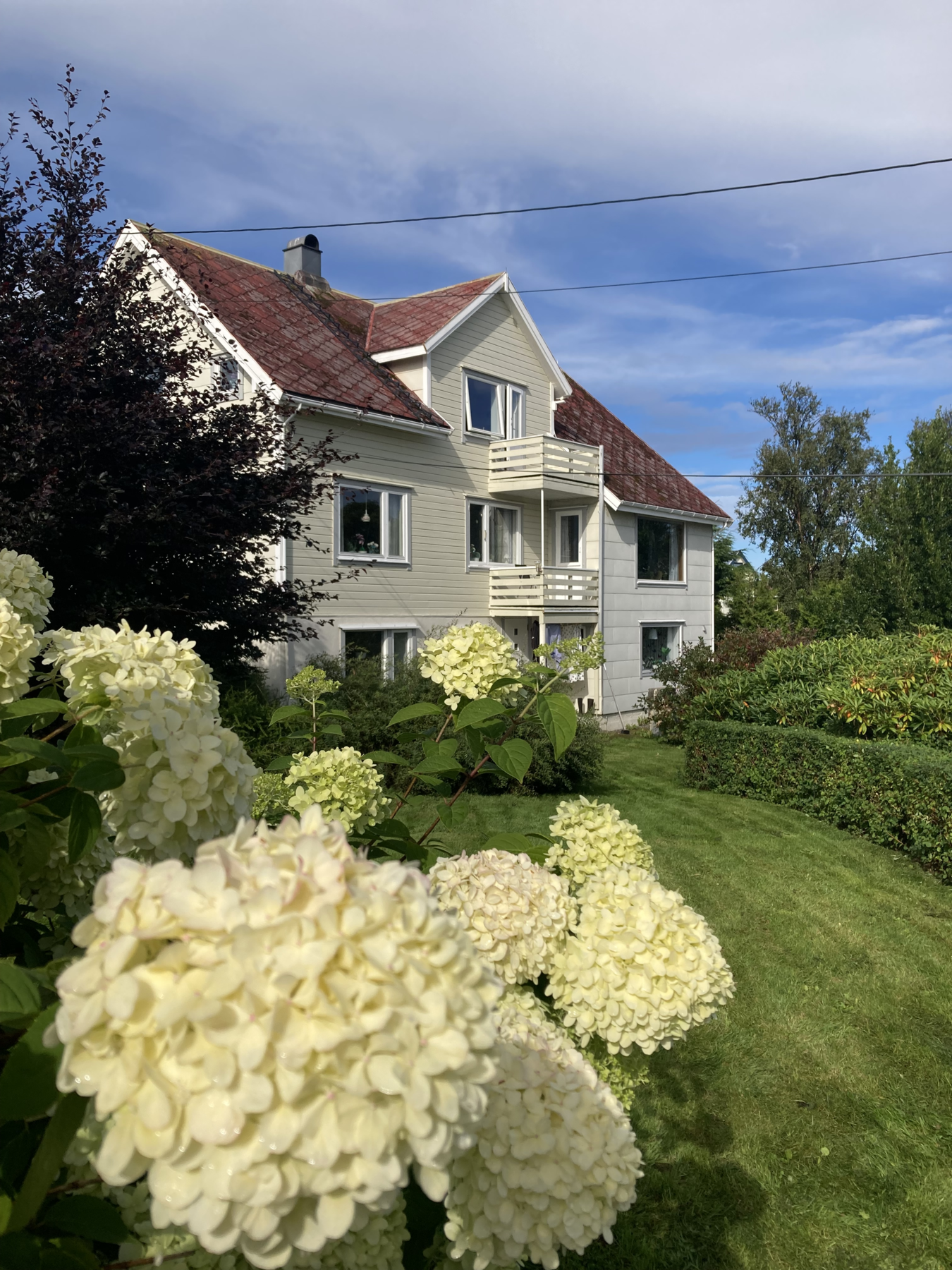 Privat bilde fra selger Galleribilde