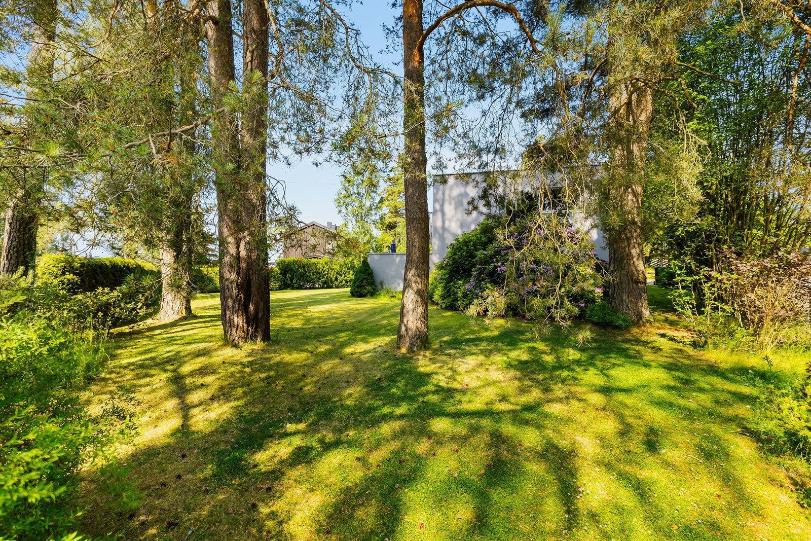 Hagebilde Galleribilde