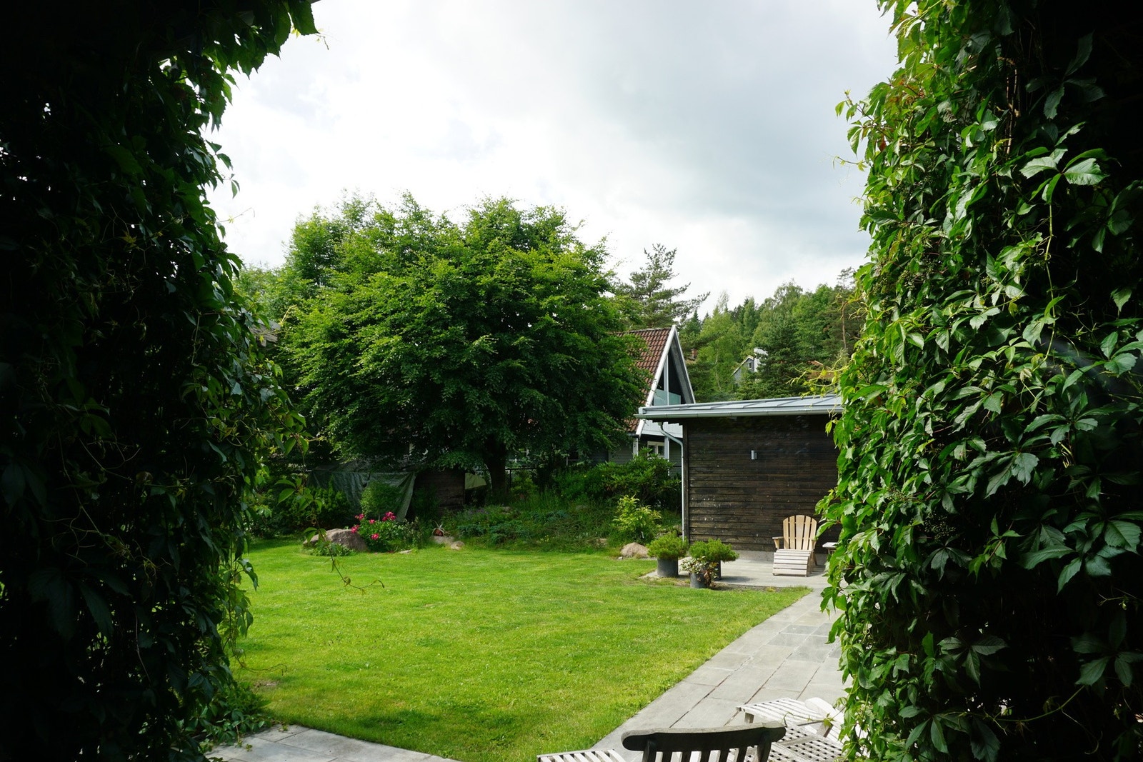 Sommerbilde av hagen tatt av selger. Galleribilde