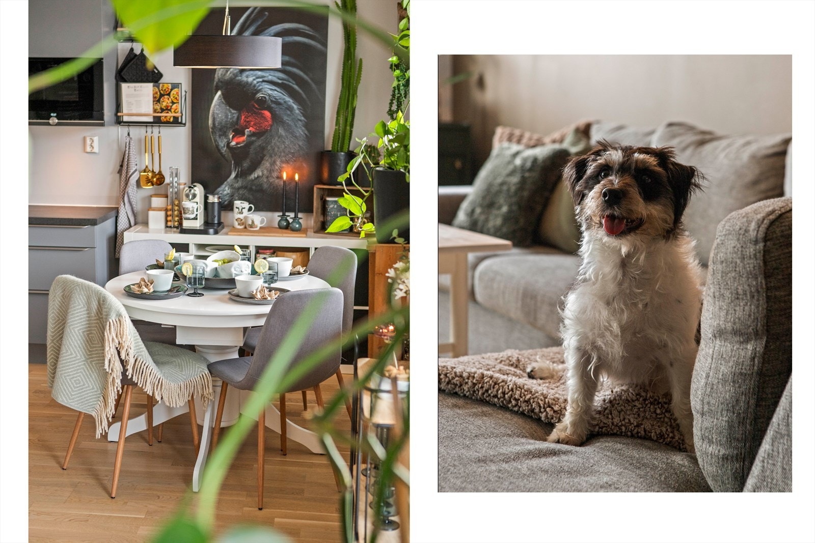 Detaljbilde. Galleribilde