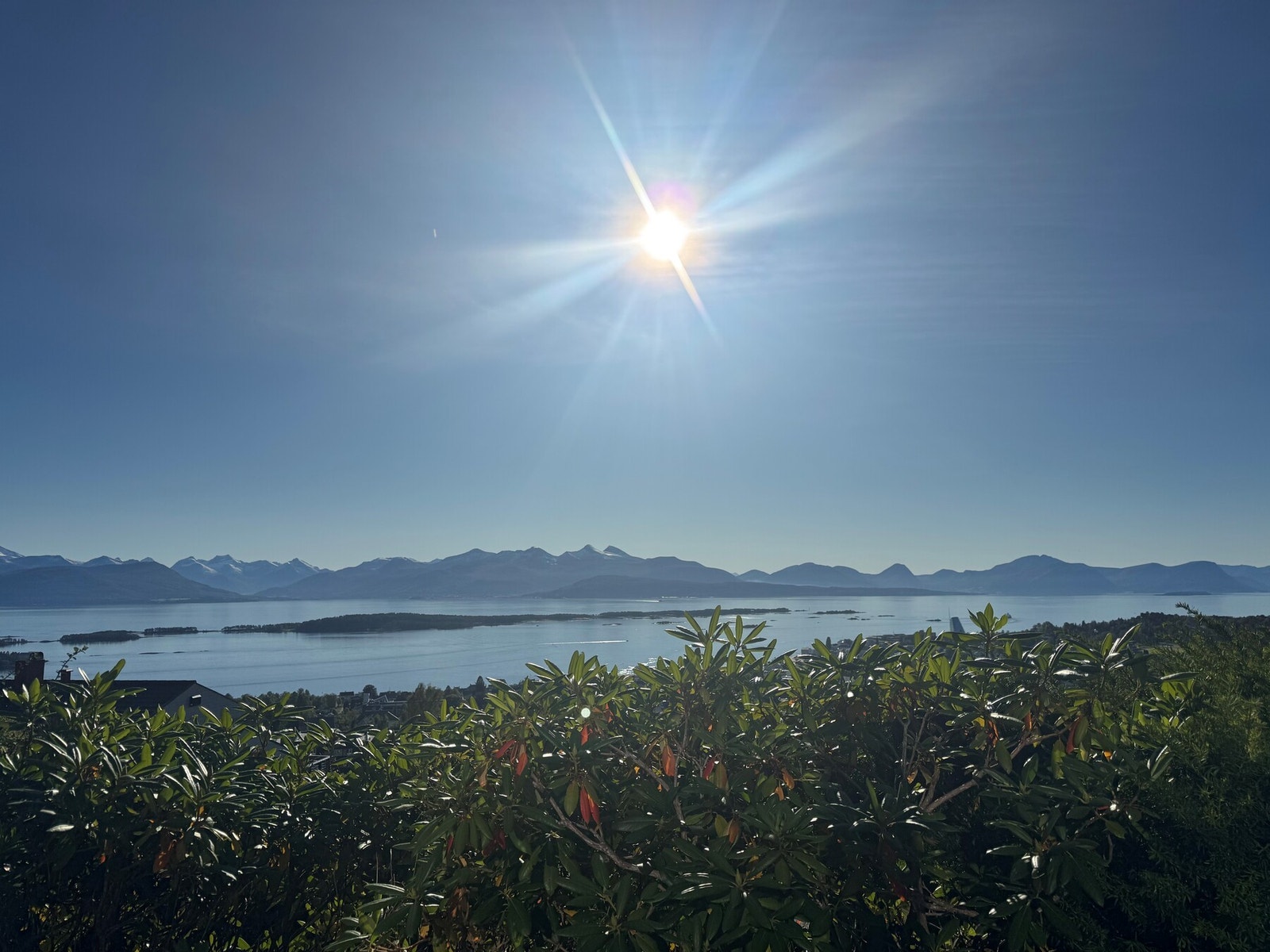 Privat bilde. Galleribilde