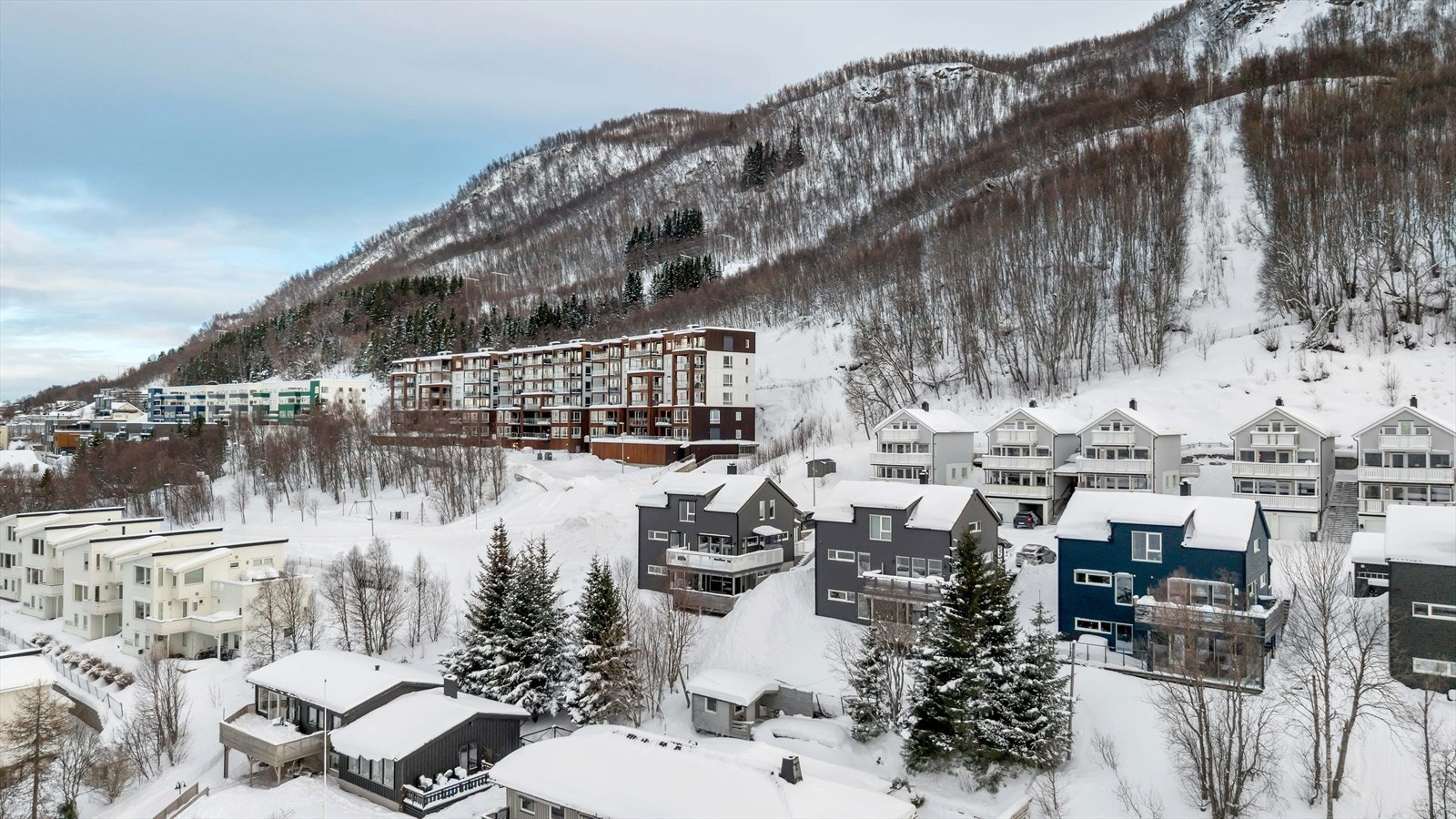 Rolige omgivelser i familievennlig og populært område. Galleribilde