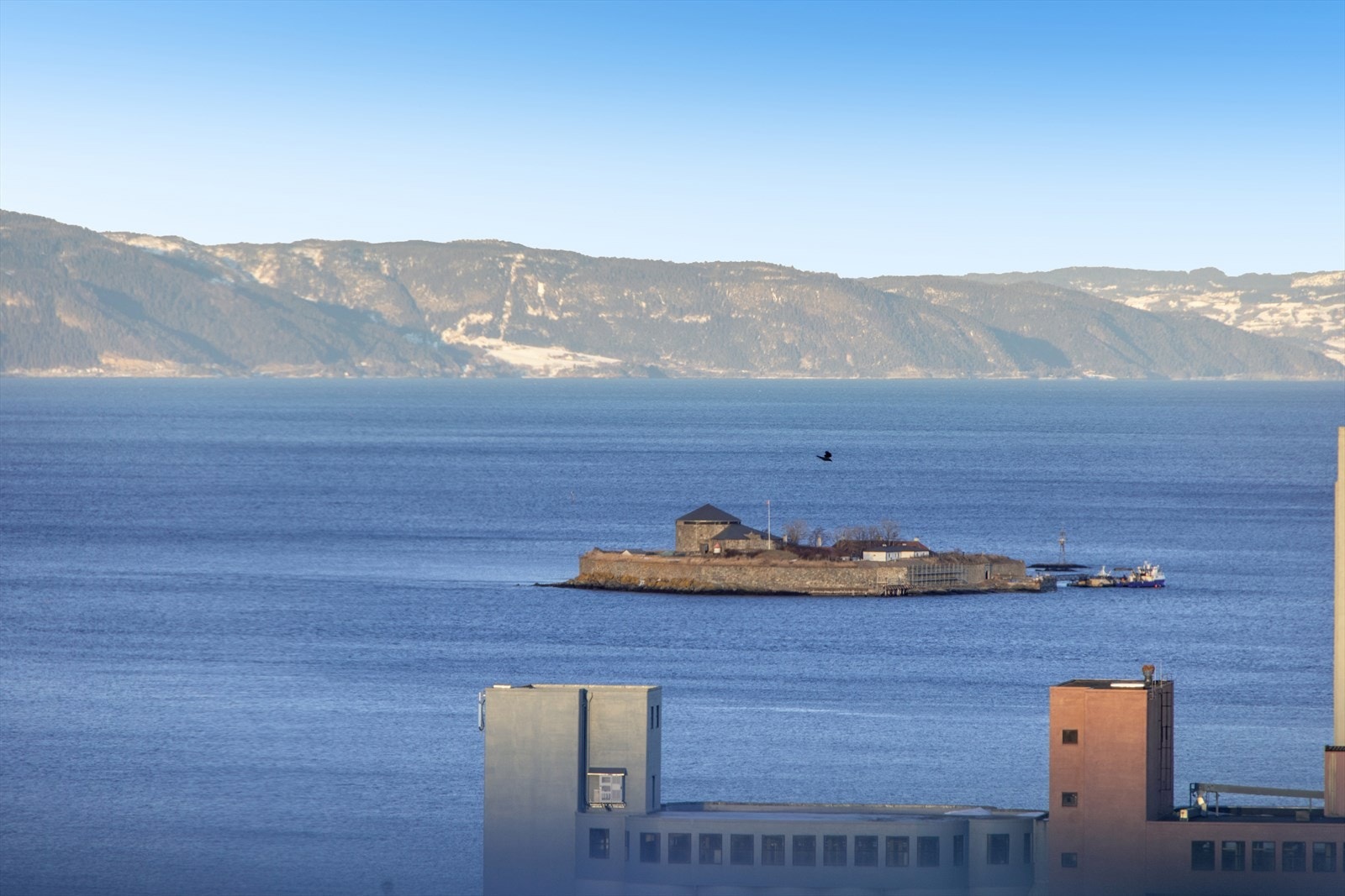 Utsikt mot Munkholmen. Galleribilde