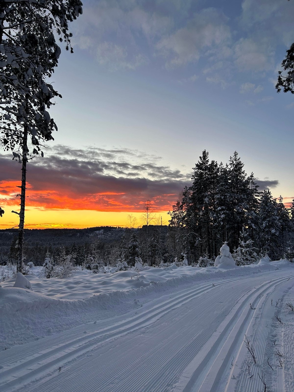 Kjekstadmarka: Oppkjørte skispor i umiddelbar nærhet Galleribilde
