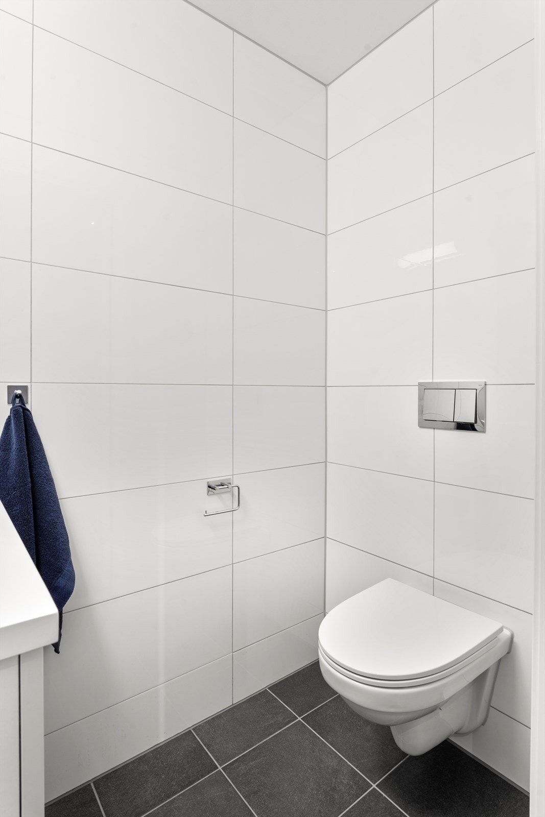 Gjestetoalett Galleribilde