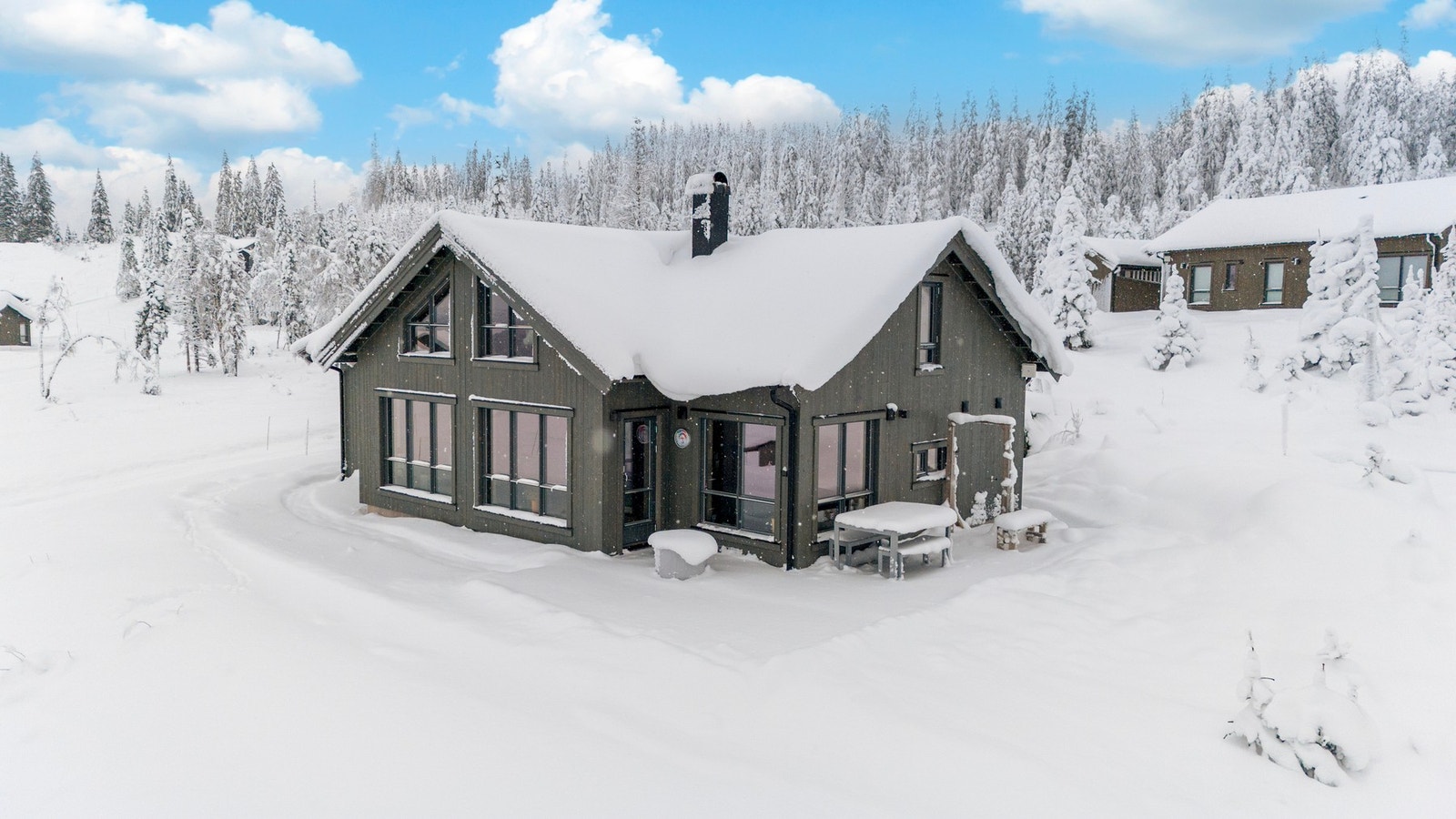 Velkommen til Elgkollen 101. Galleribilde