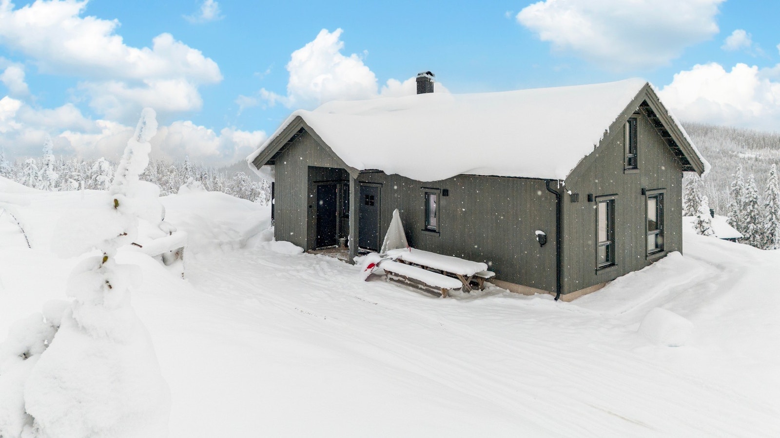 Flott familiehytte fra 2022. Galleribilde