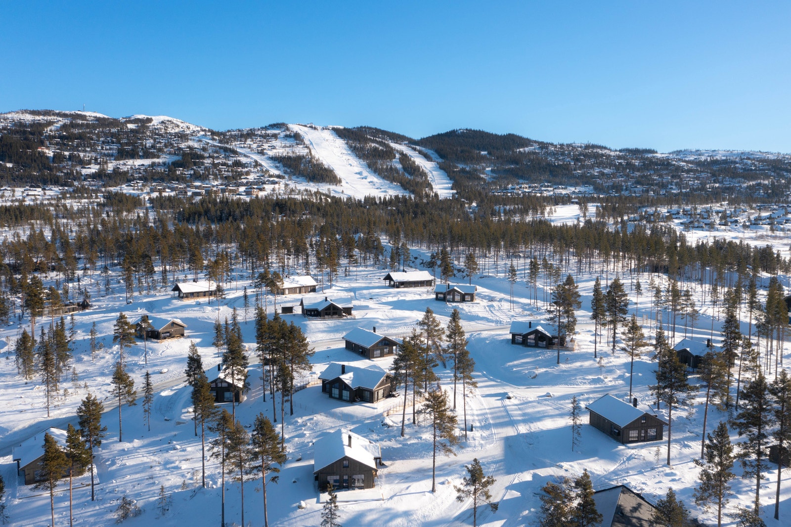 Feltet har på kort tid blitt godt etablert og første trinn begynner å nær seg utsolgt Galleribilde