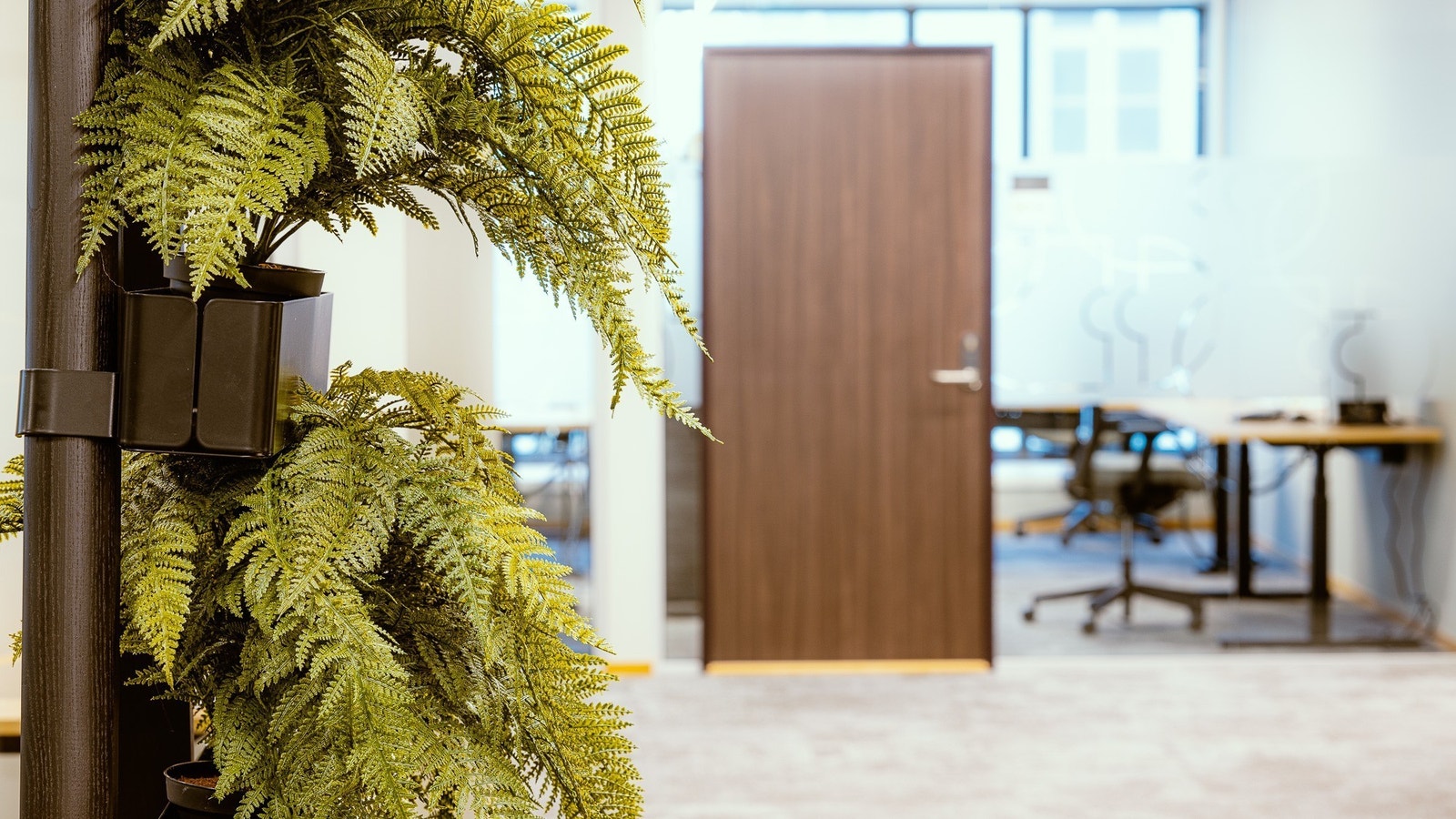 Cellekontor Galleribilde