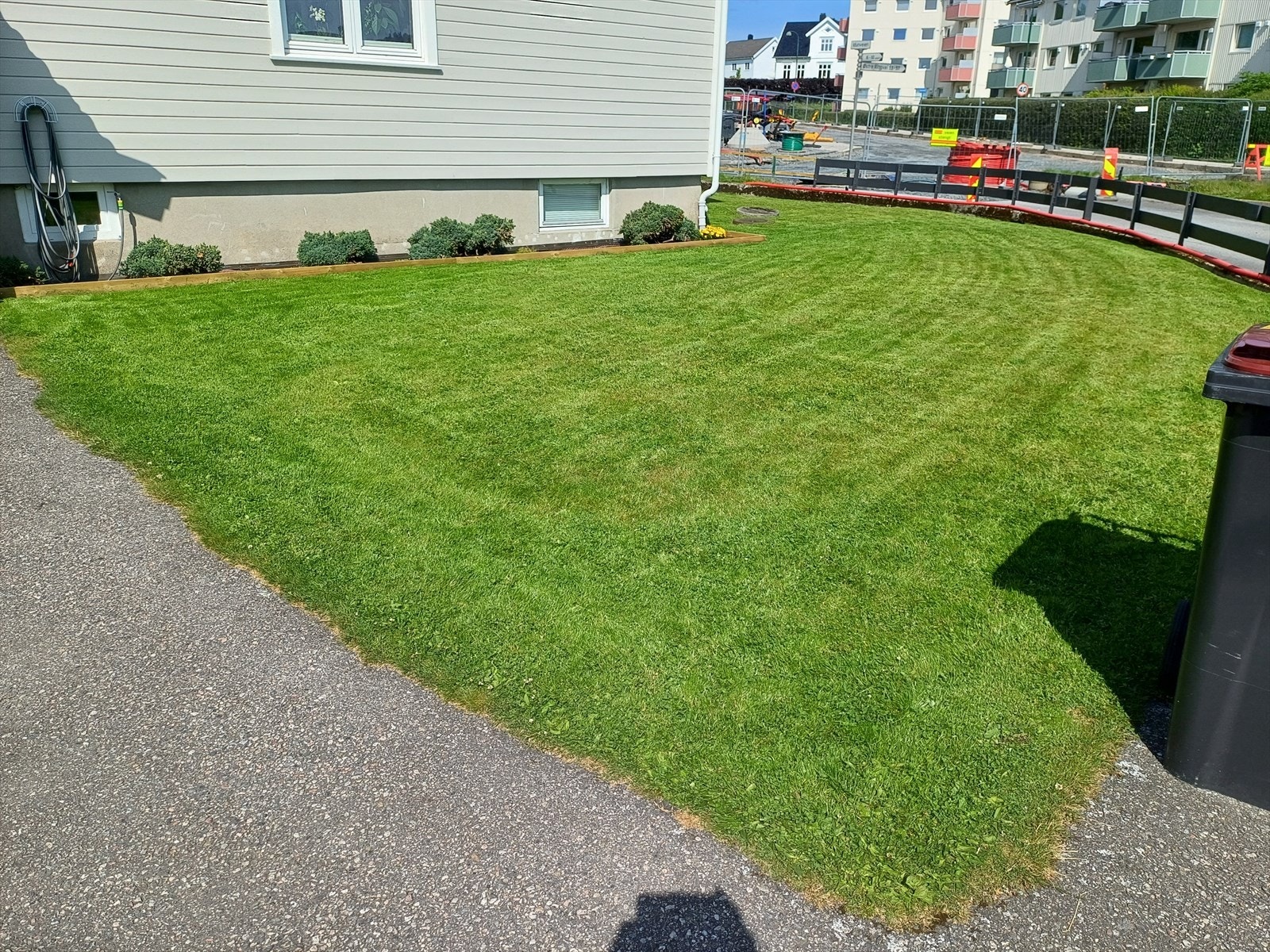 Selgers sommerbilde Galleribilde