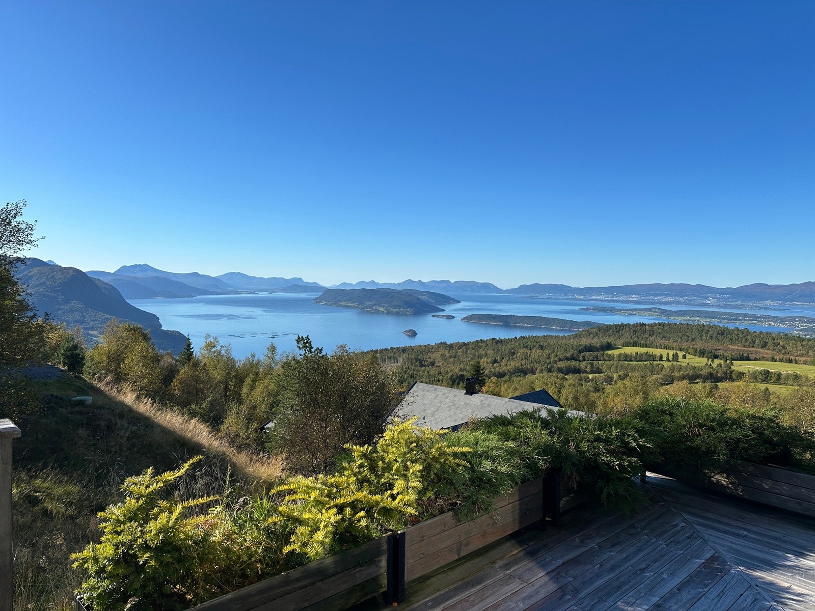 Privat bilde. Galleribilde