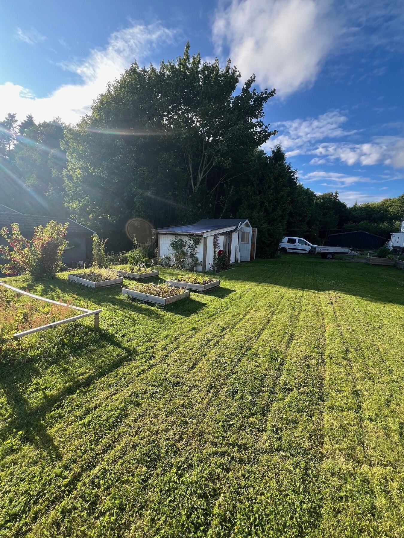 Sommer i Kimestadveien med "ballslette" og kortreiste grønnsaker Galleribilde