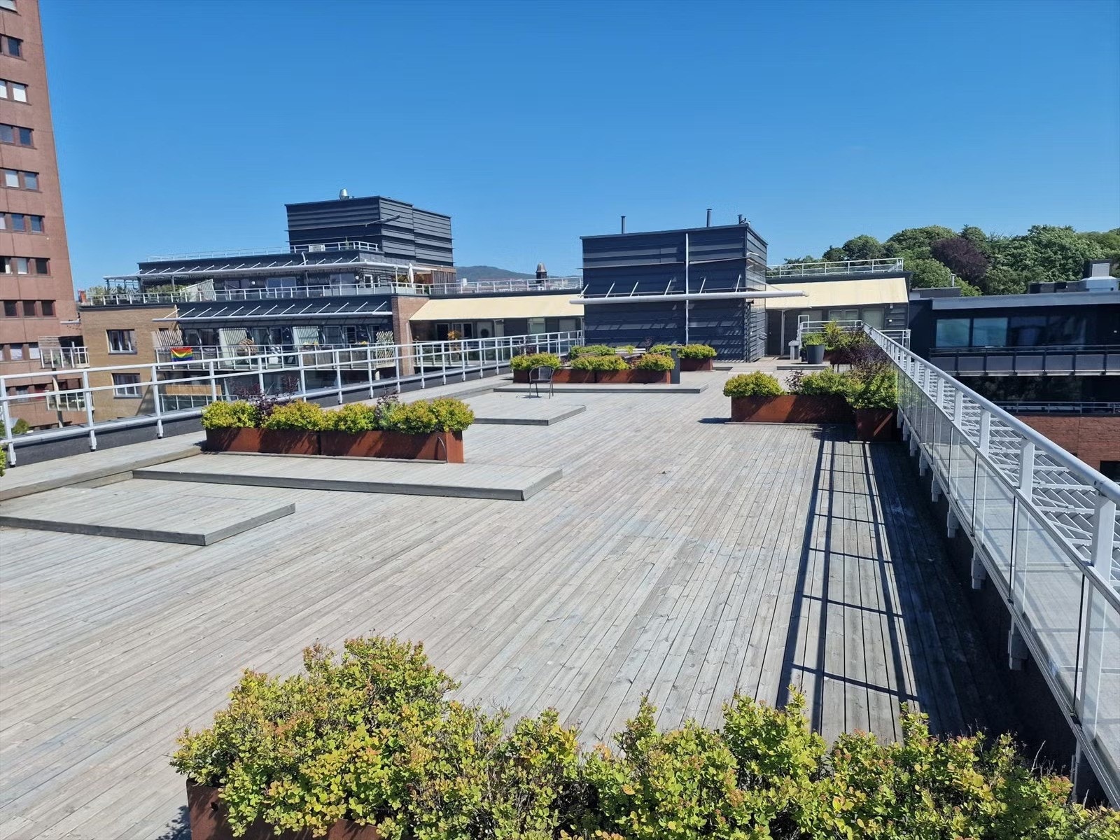 Flott, felles takterrasse til glede for beboere. Galleribilde