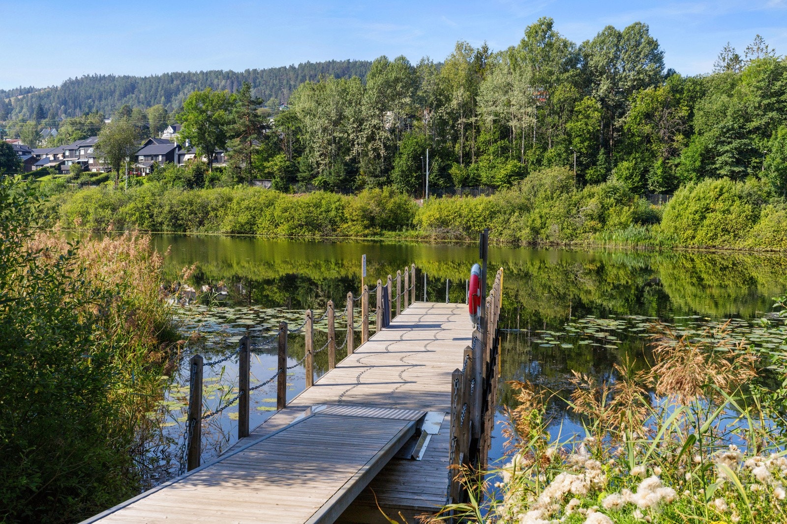 Idylliske Bondivann med bade- og fiskemuligheter Galleribilde