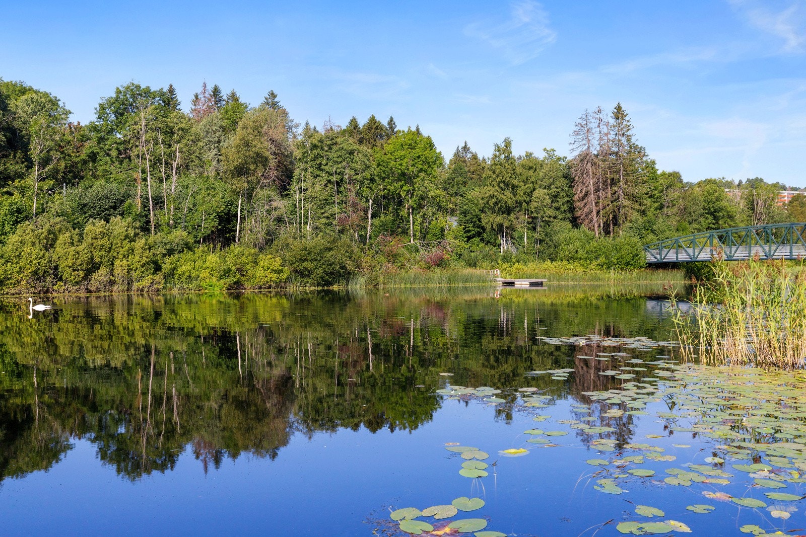 Landlig beliggenhet med fine turområder Galleribilde
