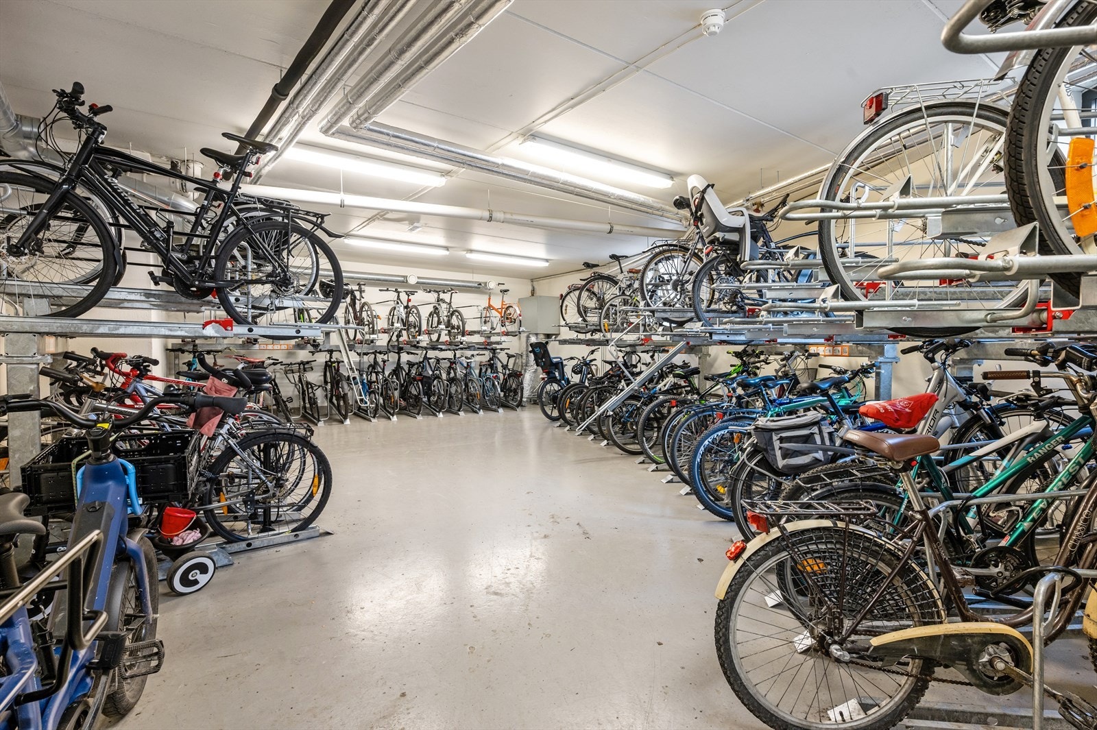 Felles sykkelbod. Galleribilde