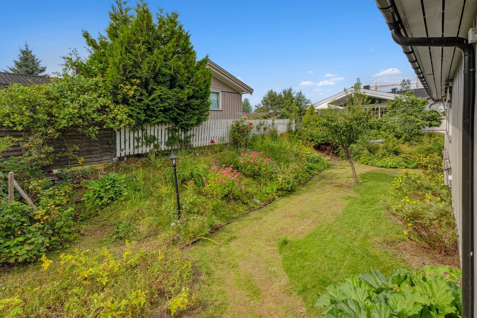 Hage på baksiden av huset. Galleribilde
