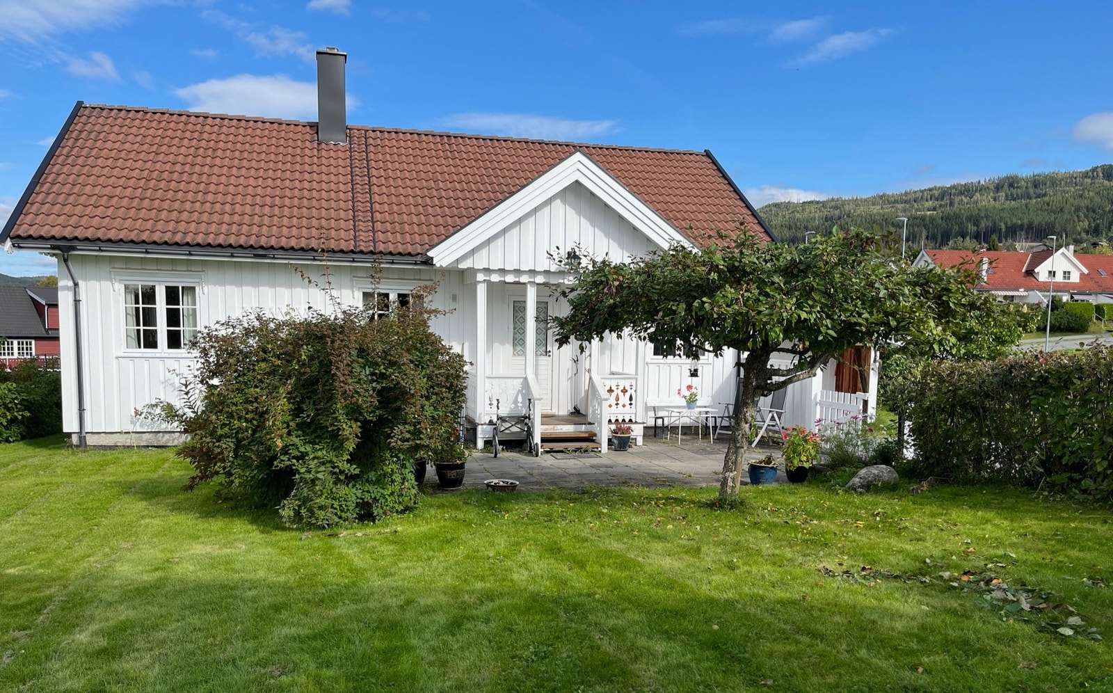 Selgers private sommerbilde. Galleribilde