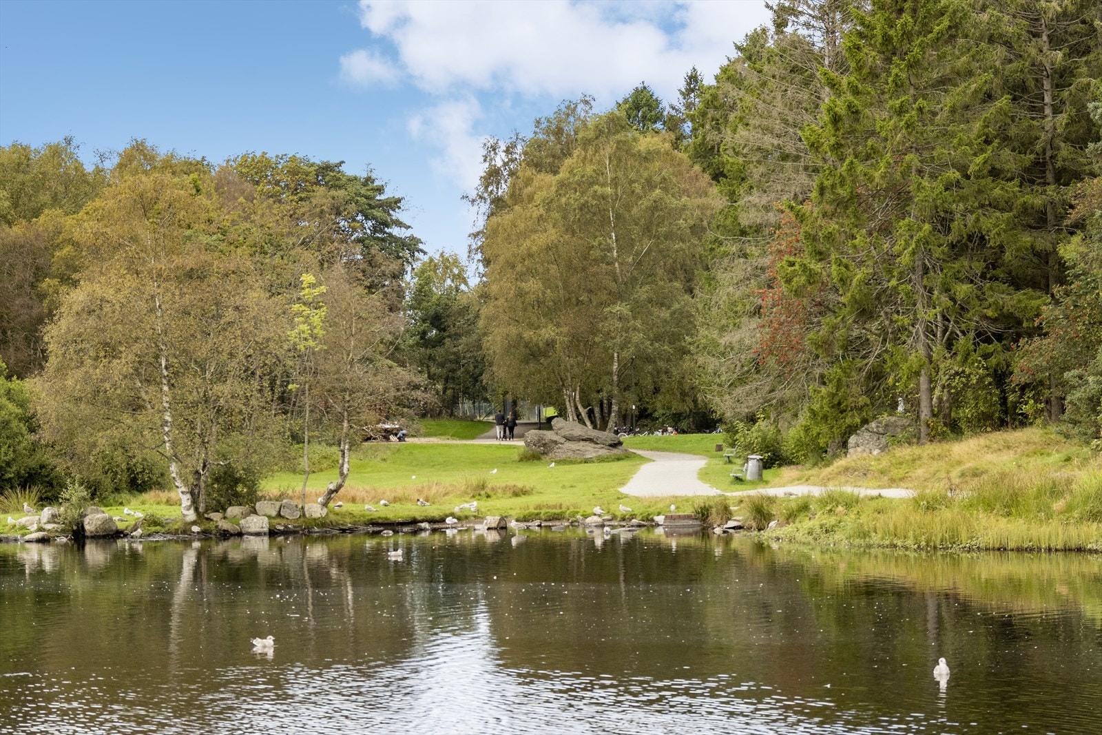 Vannassen rekreasjonsområde finner man i gangavstand fra leiligheten Galleribilde
