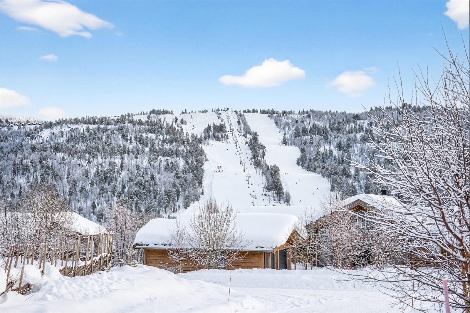Kort vei til alpinbakken Galleribilde
