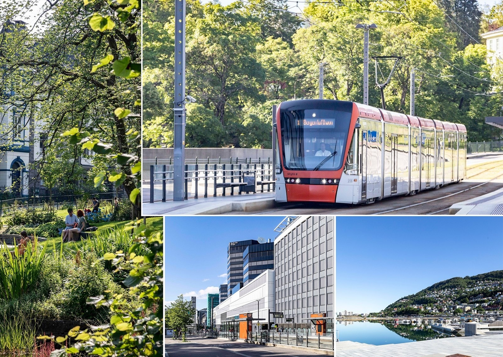 Mange vil nok sette pris på gangavstanden til store arbeidsplasser som Haukeland sykehus, Haraldsplass og Media City. For studenter er beliggenheten ideell, med enkel tilgang til UiB, HVL og BI. Galleribilde