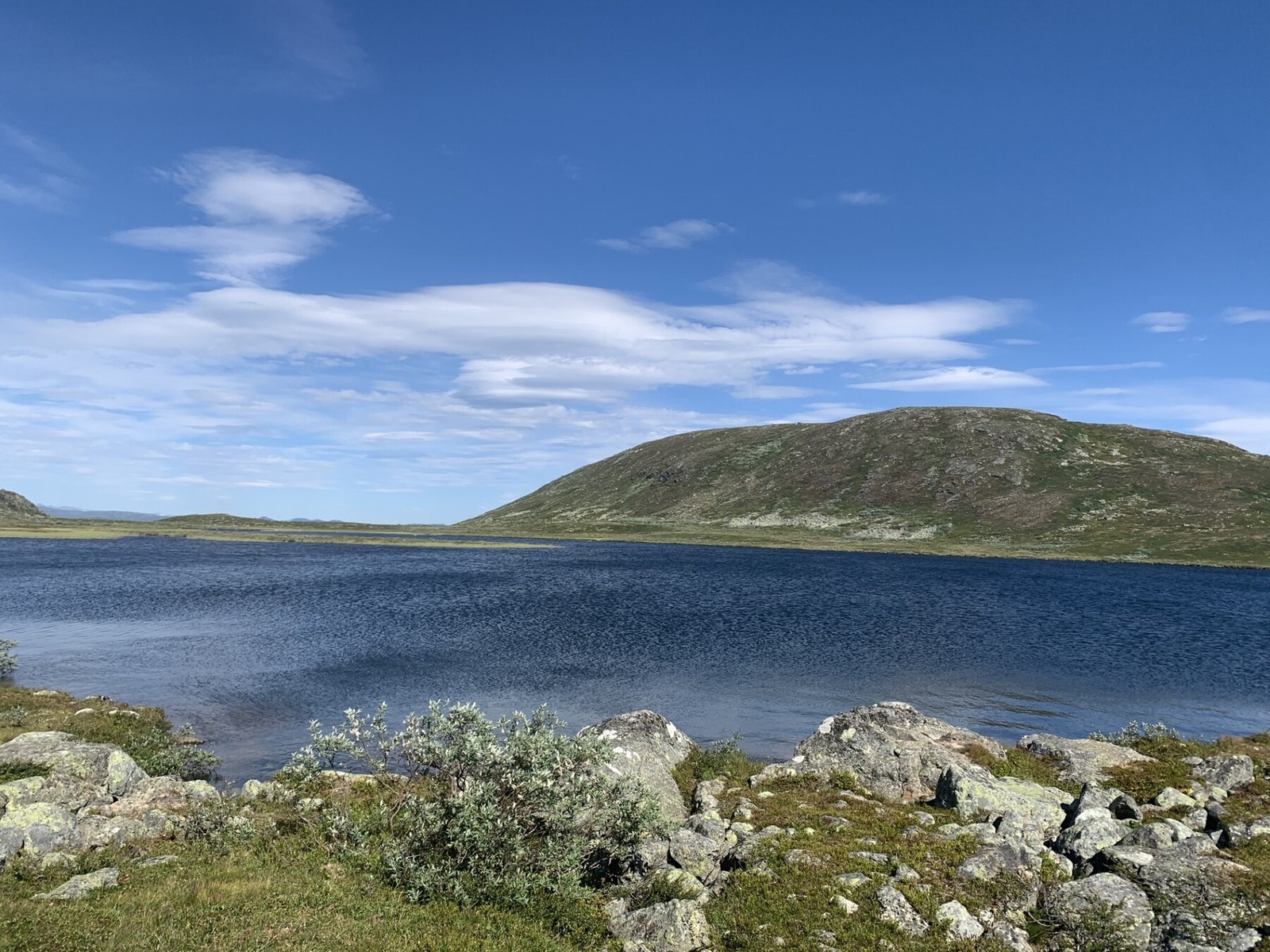 Sommerstid byr området på variert turterreng. Selgers foto! Galleribilde