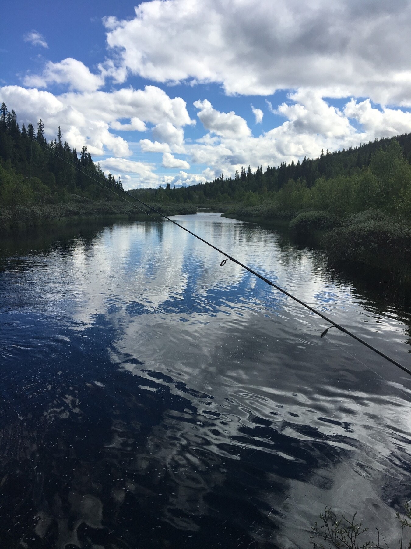 Området byr på gode muligheter for å teste fiskelykken. Selgers foto! Galleribilde