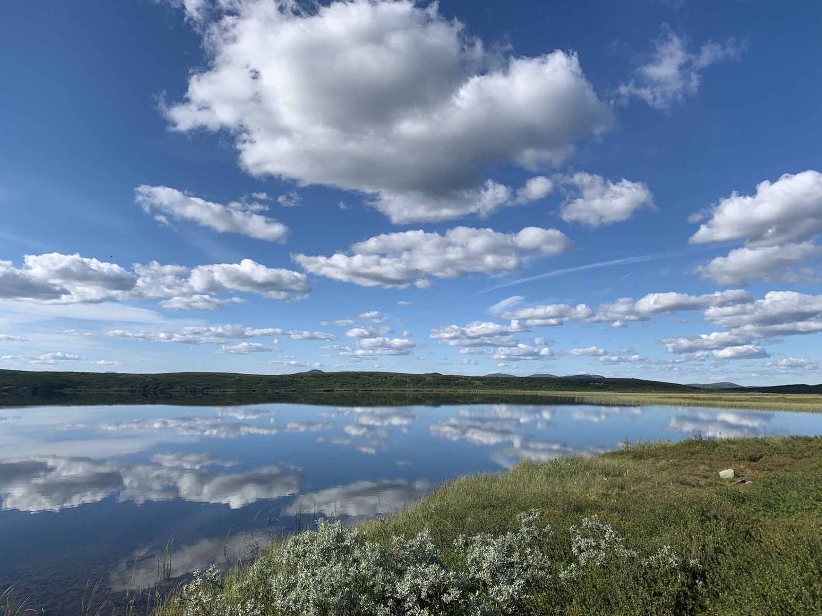 Fantastisk natur. Selgers foto! Galleribilde