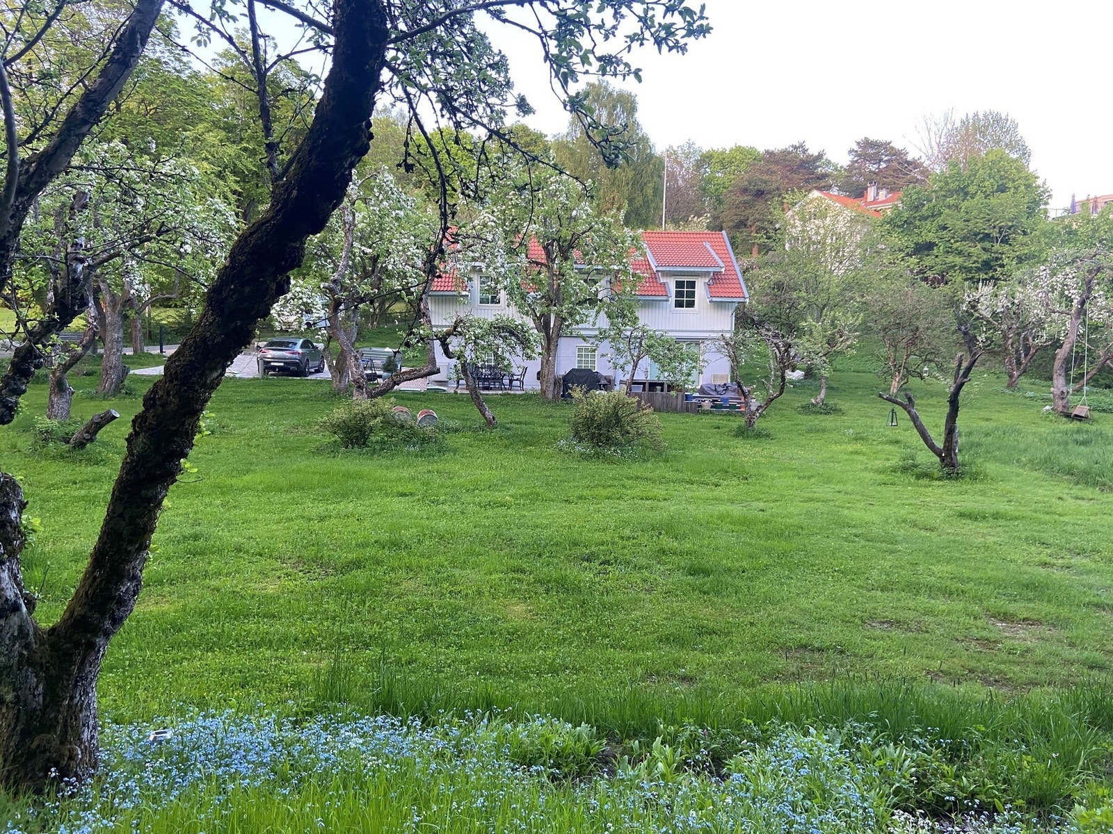 Sommerbilde tatt av selger. Galleribilde