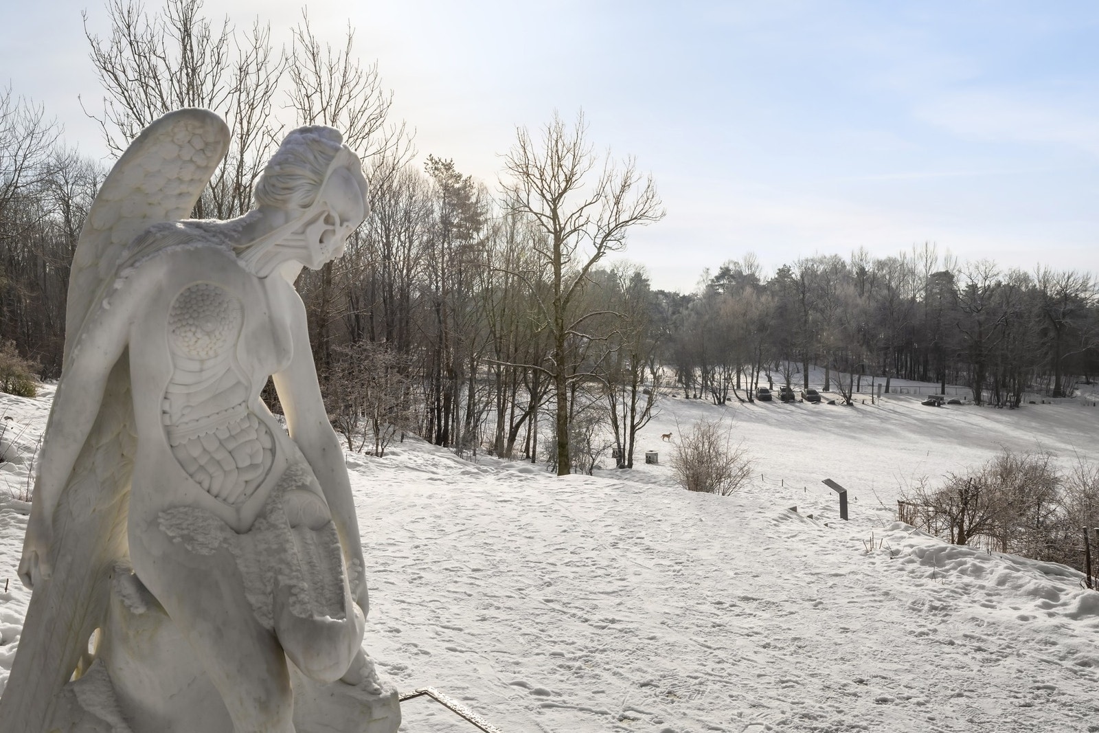 Eiendommen grenser mot hundesletta og videre inn i Ekebergparken Galleribilde