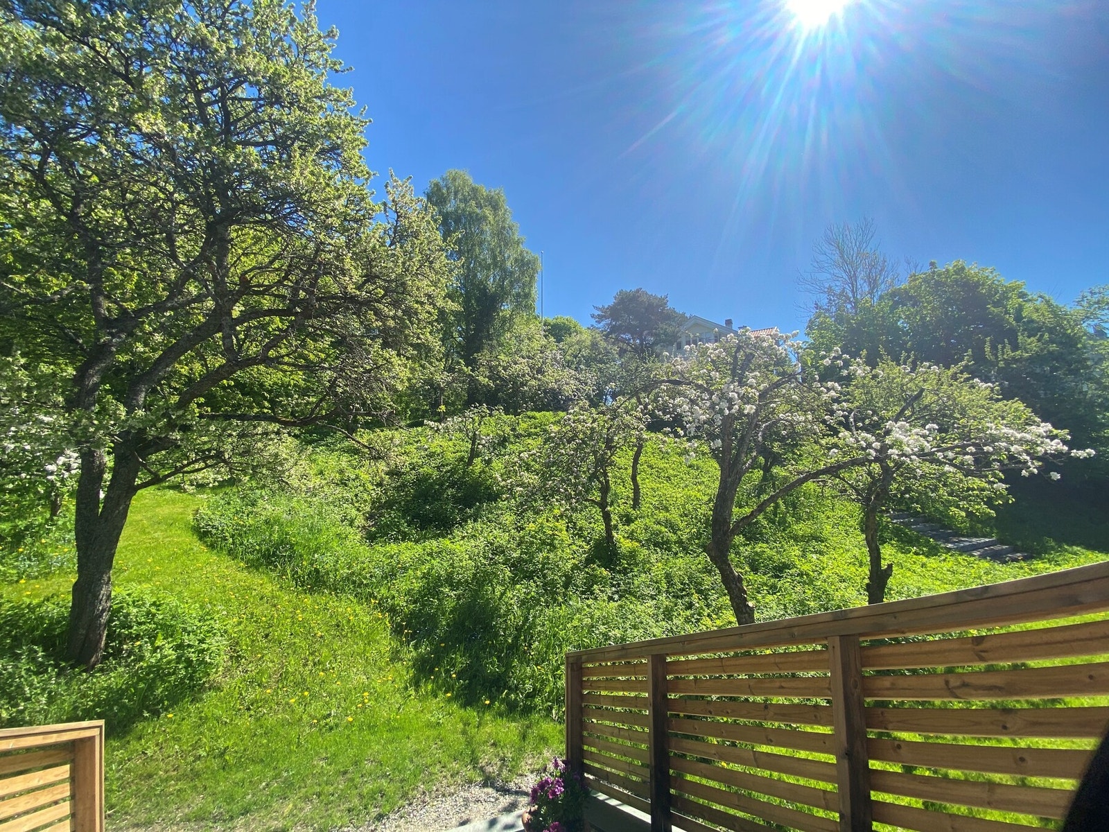 Sommerbilde tatt av selger. Eiendommen ligger i fantastiske og frodige omgivelser Galleribilde