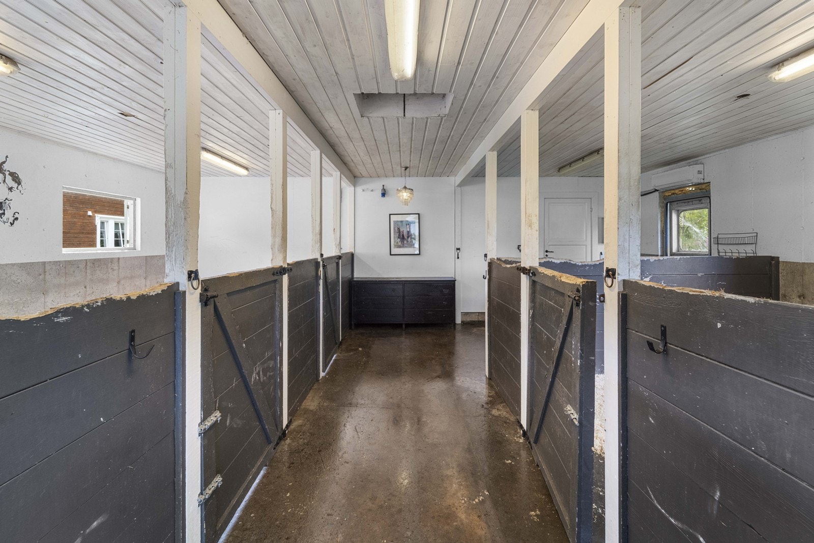 Fin stall med flere båser Galleribilde