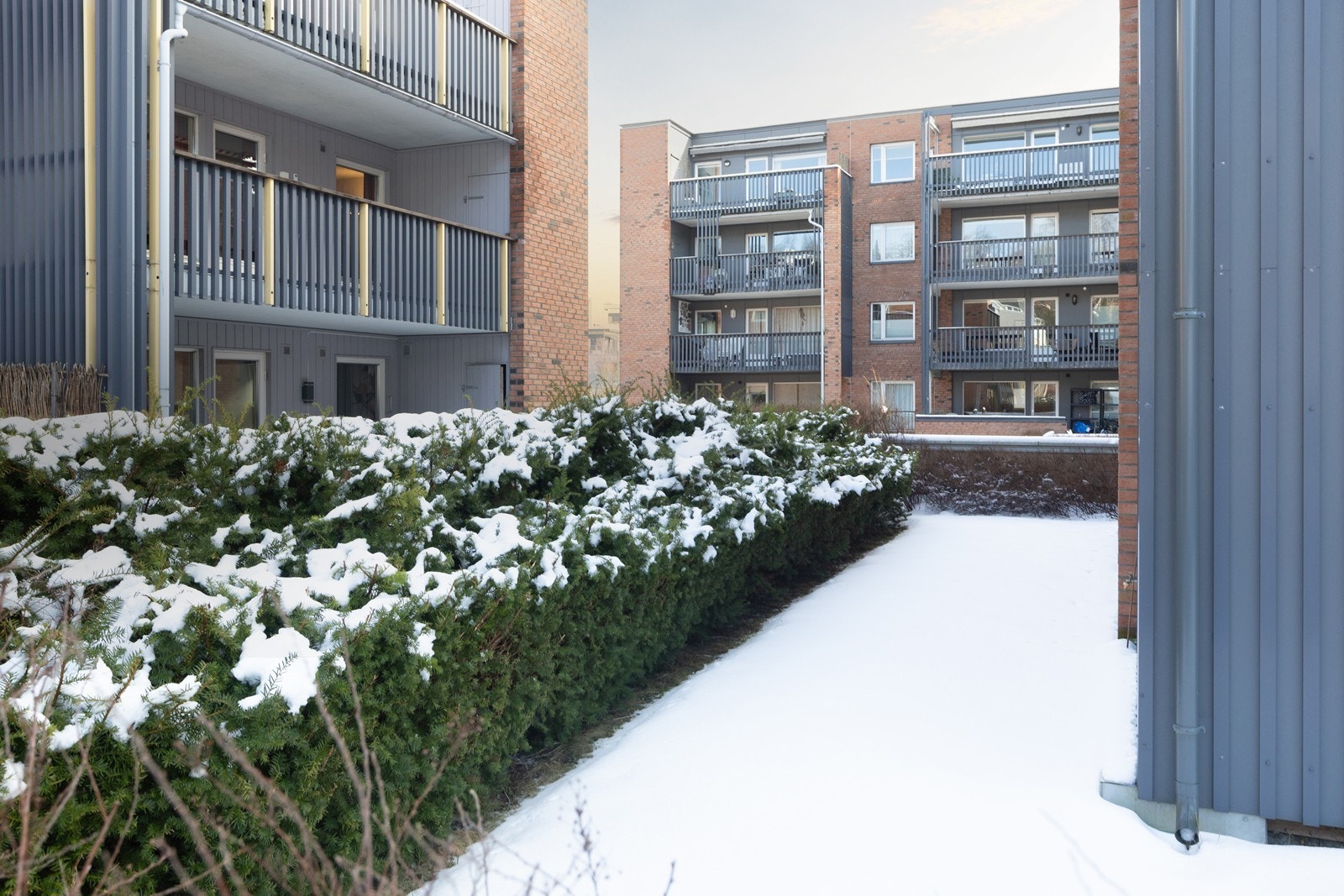 Hagedelen går rundt hjørnet og langs gavlsveggen. Galleribilde