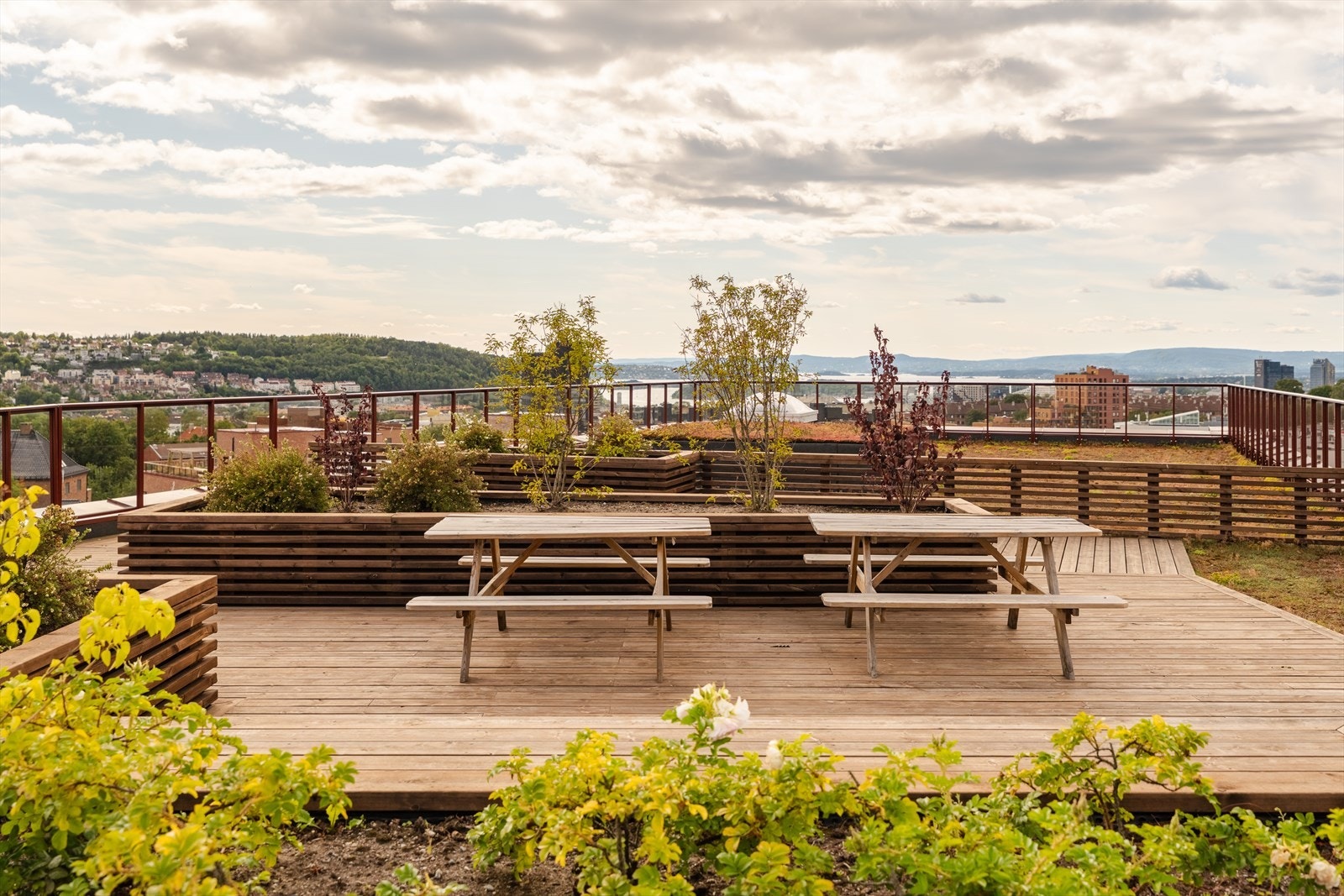 Her finnes mange sittegrupper, frodige blomsterbed og ikke minst en vakker utsikt mot Oslofjorden. Galleribilde