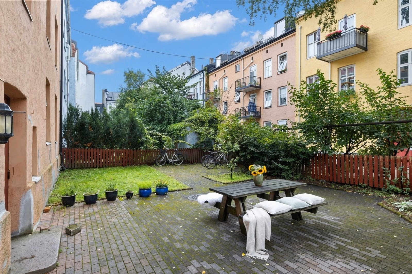 Bakgård på sommerstid. Galleribilde