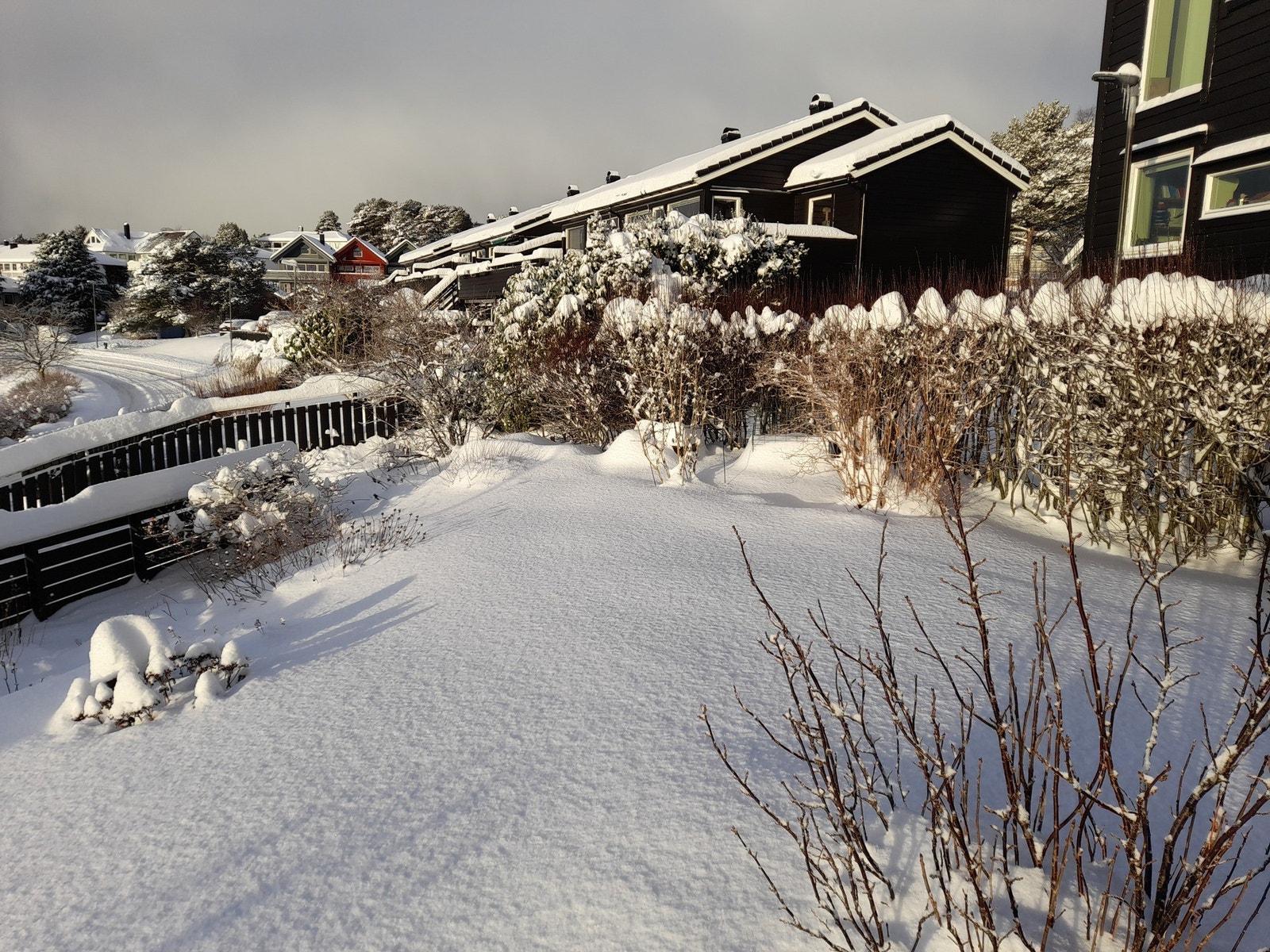 Hagen i hvit frakk.. Galleribilde