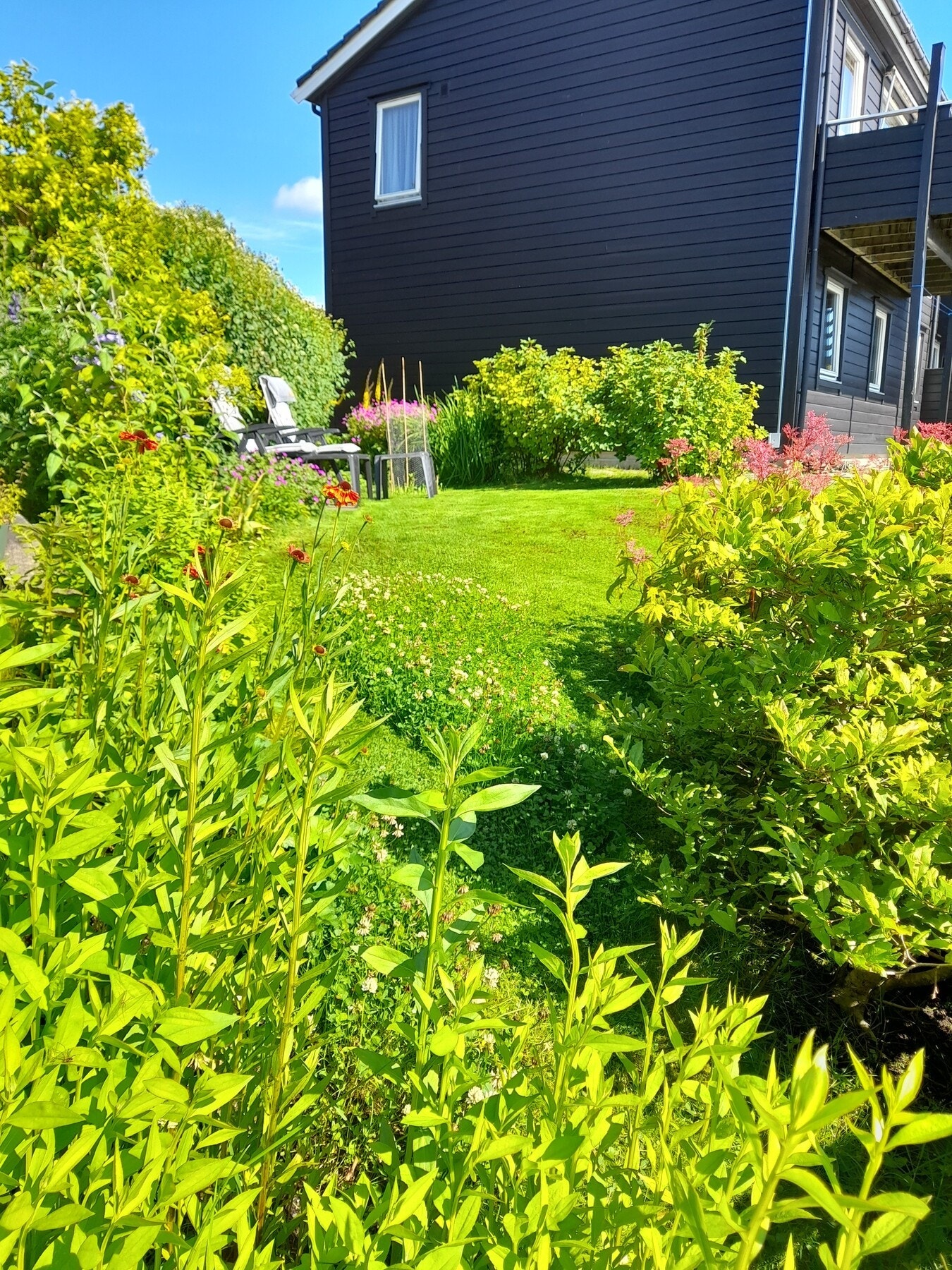 ..og hagen i grønn drakt om sommeren:) Galleribilde