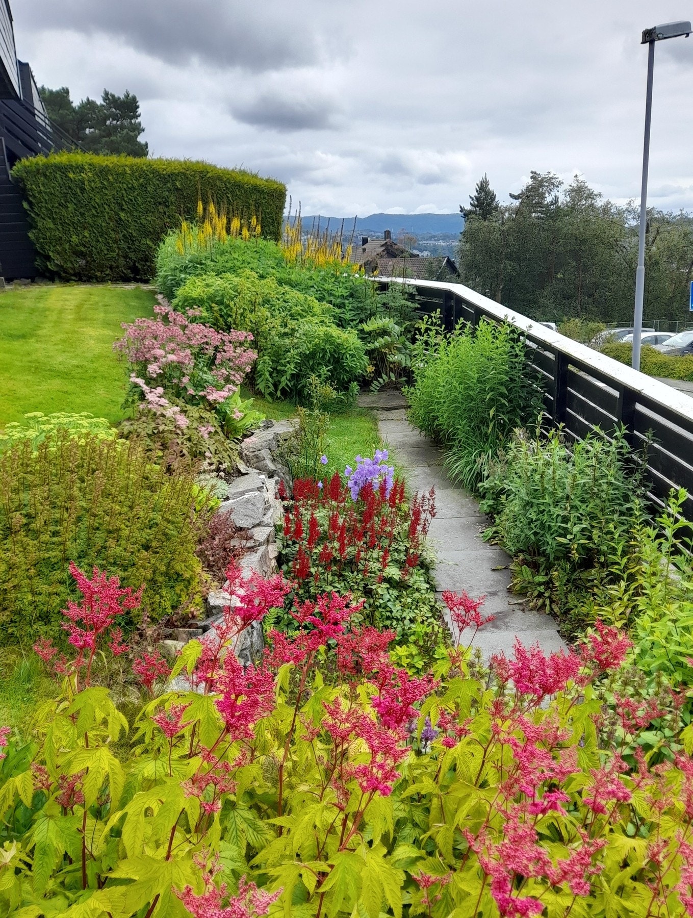 Staudene i hagen blomstrer hele sesongen fra april til oktober Galleribilde