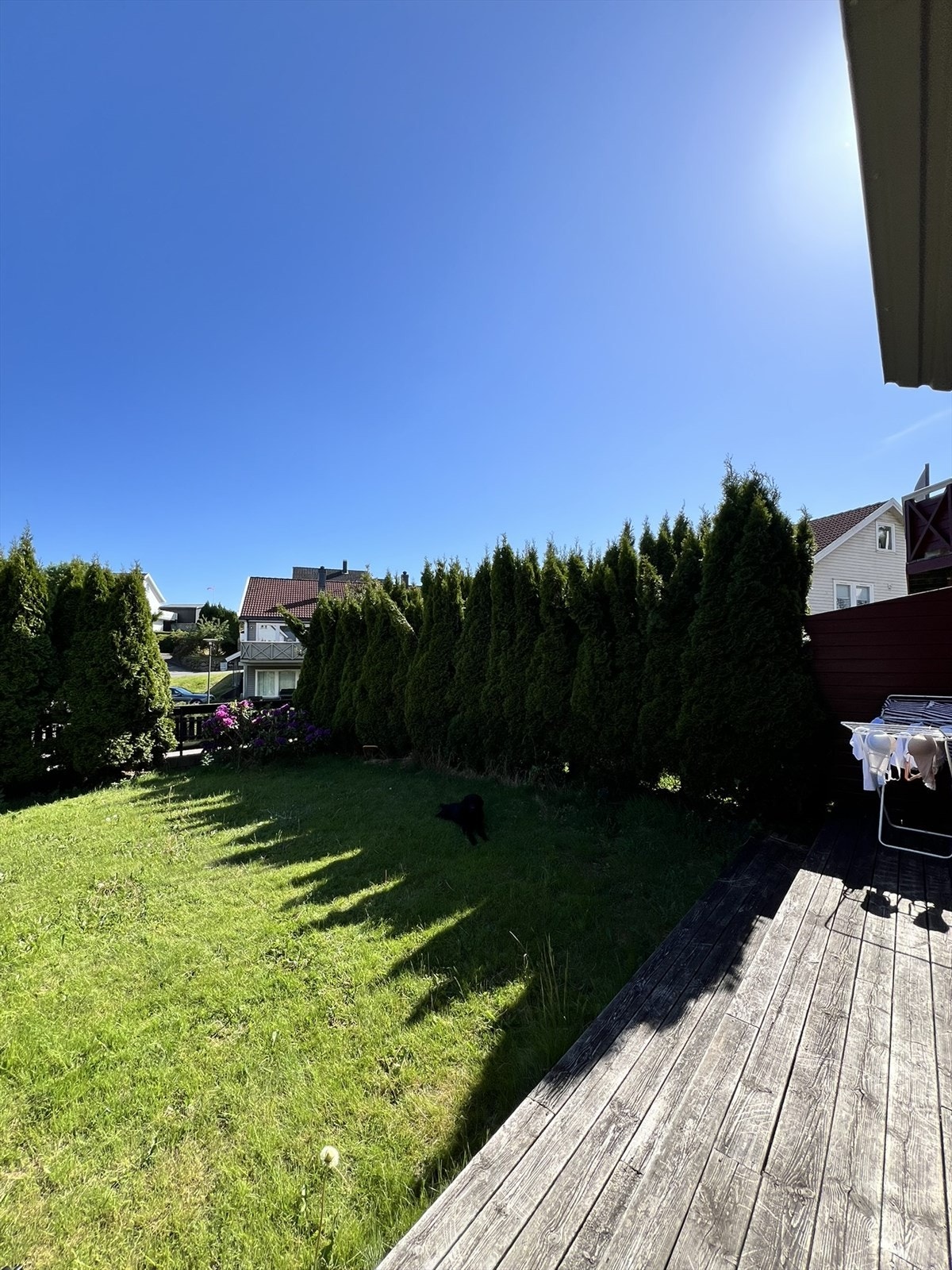 Hage sommerstid. Galleribilde
