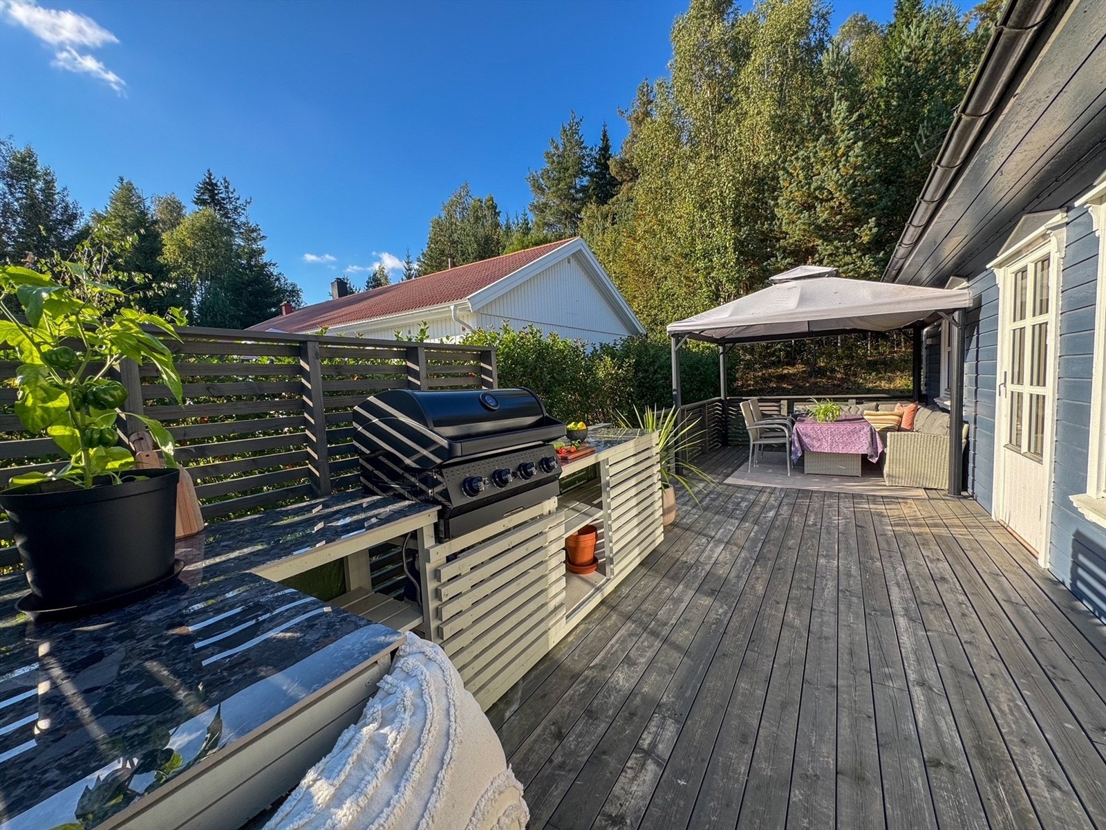 Bilde fra selger | Sommer i Rosenvangvegen 4 Galleribilde