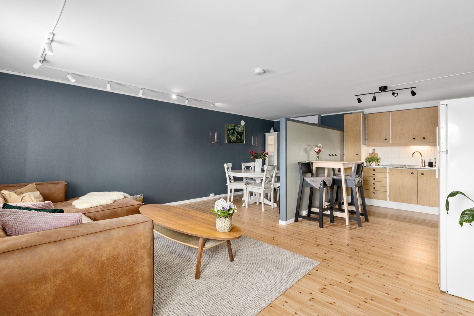 Hybelleiligheten består av stue/kjøkken, bad, entré og soverom. Foto: Marte Vibe Galleribilde