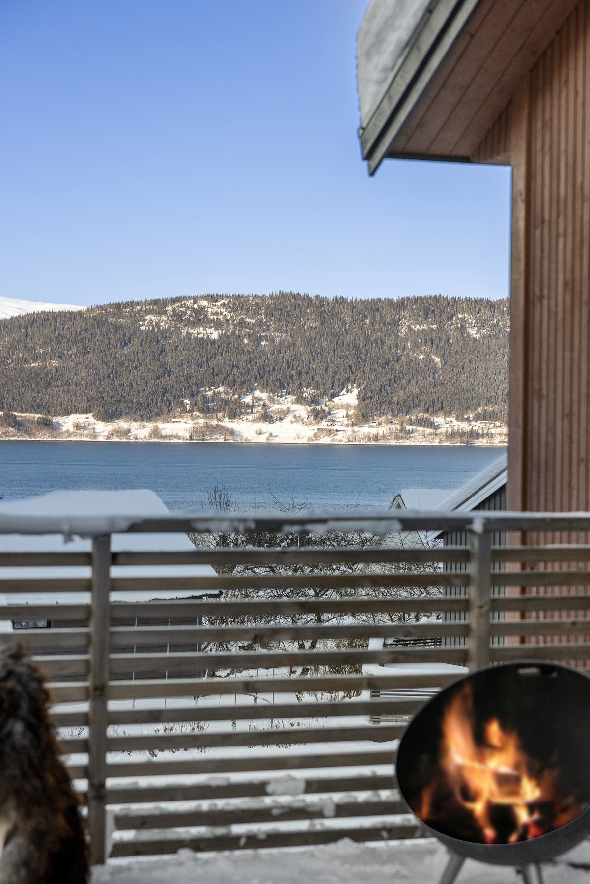 Foto: Marte Vibe Galleribilde