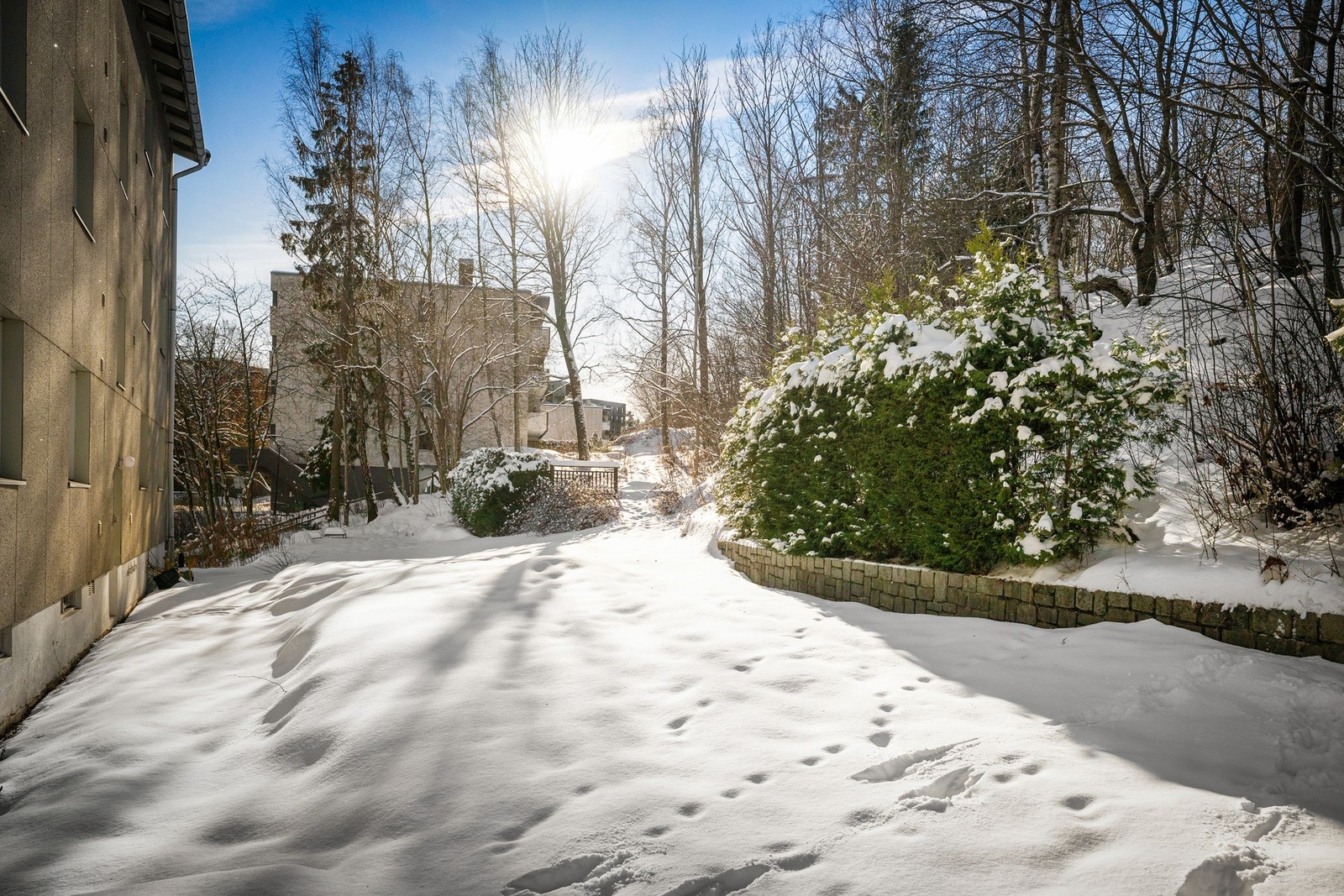 Bakhagen er usjenert og frodig med plass til sittegruppe, grill, leker og samvær Galleribilde