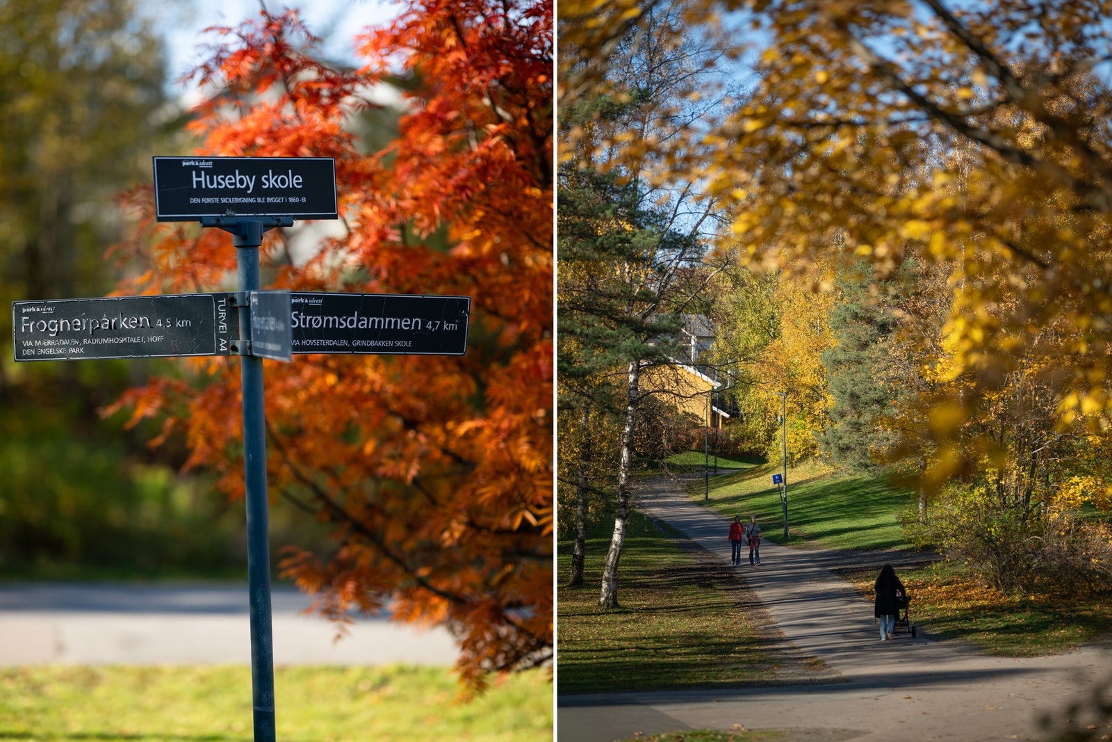 Meget trivelig nærmiljø Galleribilde