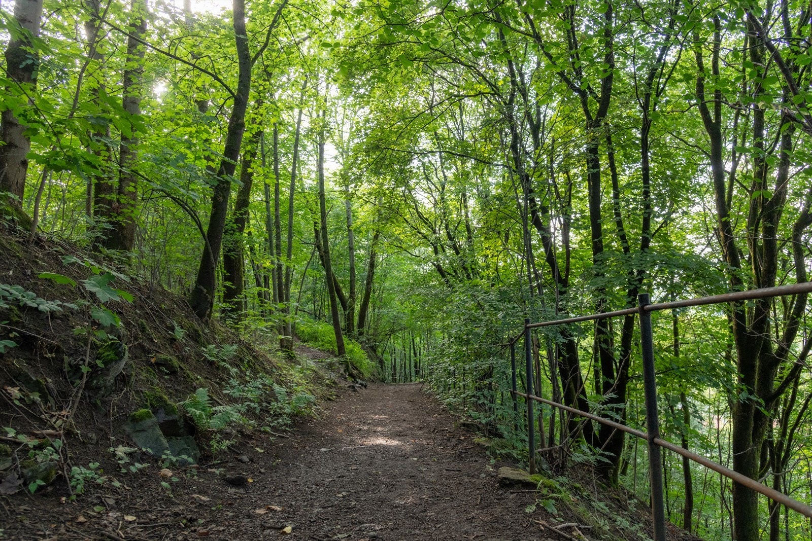 Koselig tursti på baksiden av bygget tar det opp til Ekeberg. Galleribilde