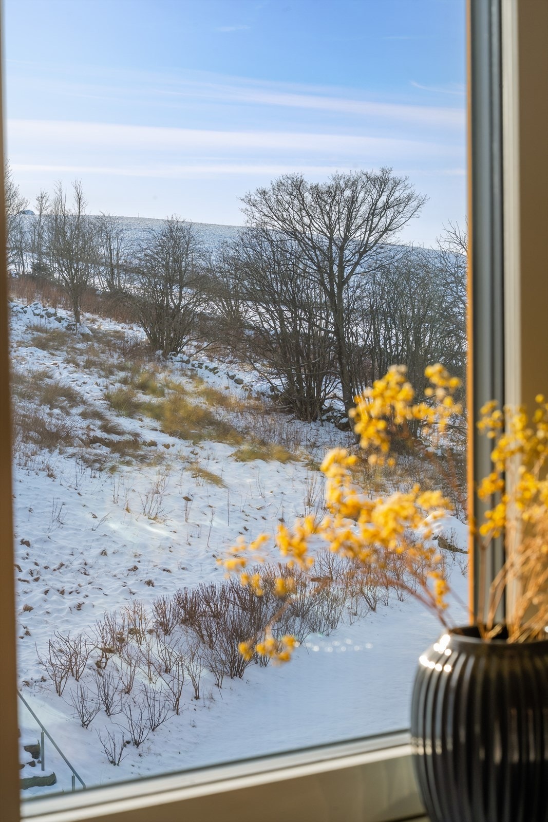 Utsikt fra soverommet Galleribilde