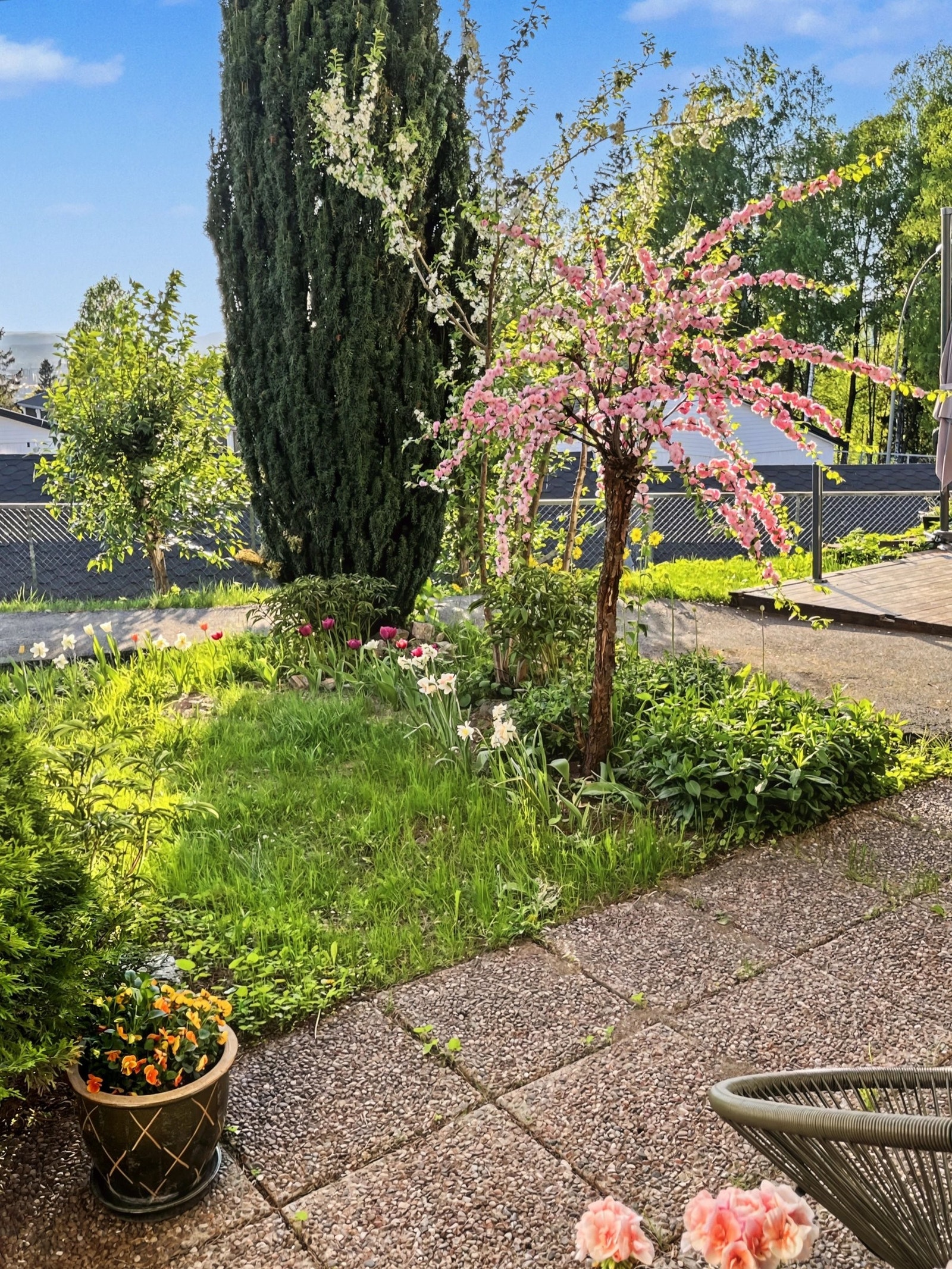 Hagen er vel planlagt og gjennomført med stauder som blomstrer gjennom hele sesongen. Snøklokker, småstorkenebb, og andre løkblomster som tulipaner, påskeliljer, krokus og perleblomst. Galleribilde