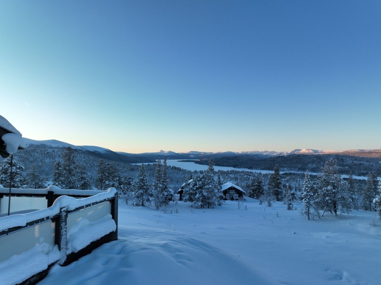 Utsikt i feltet. Galleribilde