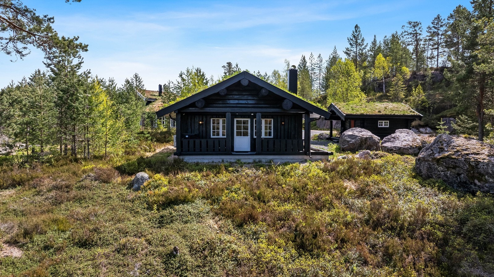 Naturtomt rundt hytten Galleribilde