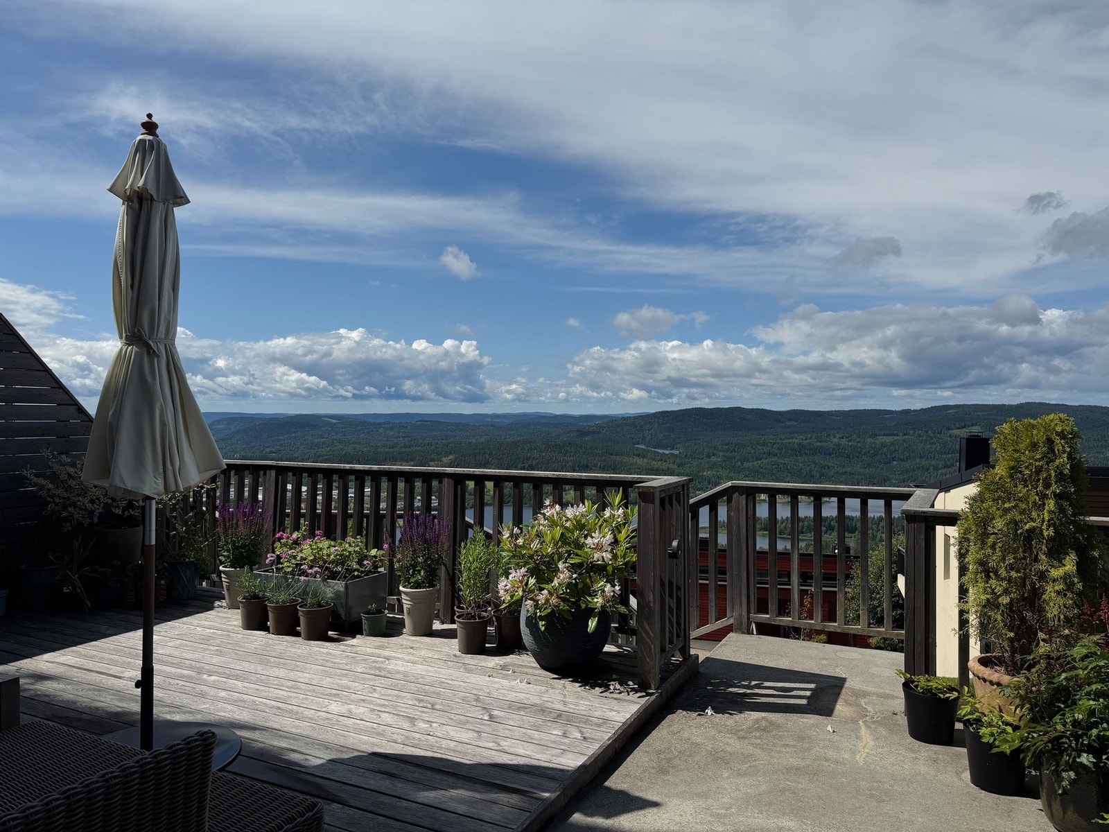 Terrassen på sommerstid. Galleribilde